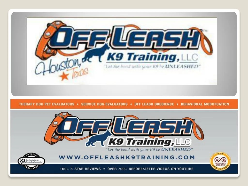 PPT Dog Obedience Trainer Washington DC Dog Training Arlington VA