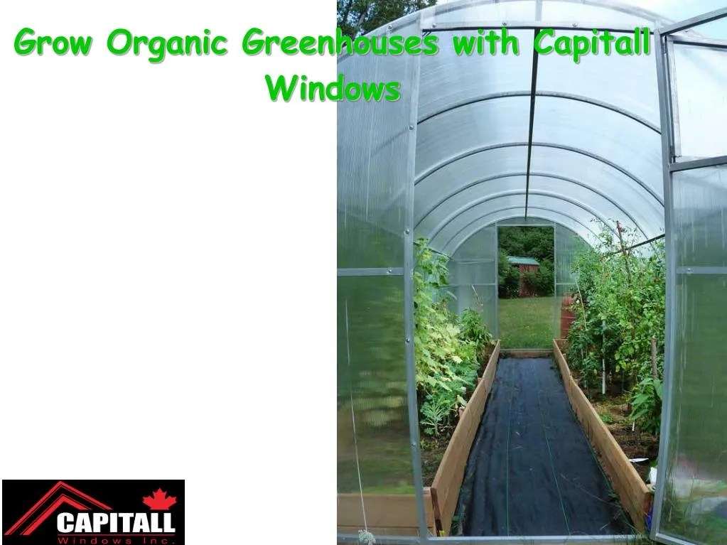 PPT Grow Organic Greenhouses with Capitall Windows PowerPoint