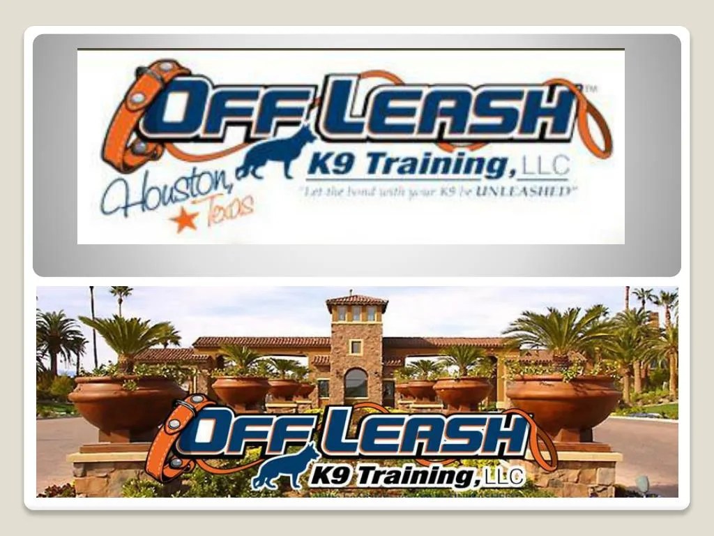 PPT Dog Trainer Henderson Dog Training Henderson NV Dog Trainer