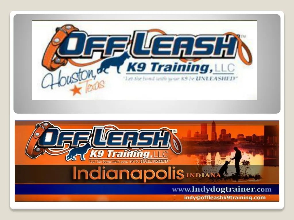 PPT Indy Dog Trainers Dog Training Indianapolis Dog Obedience
