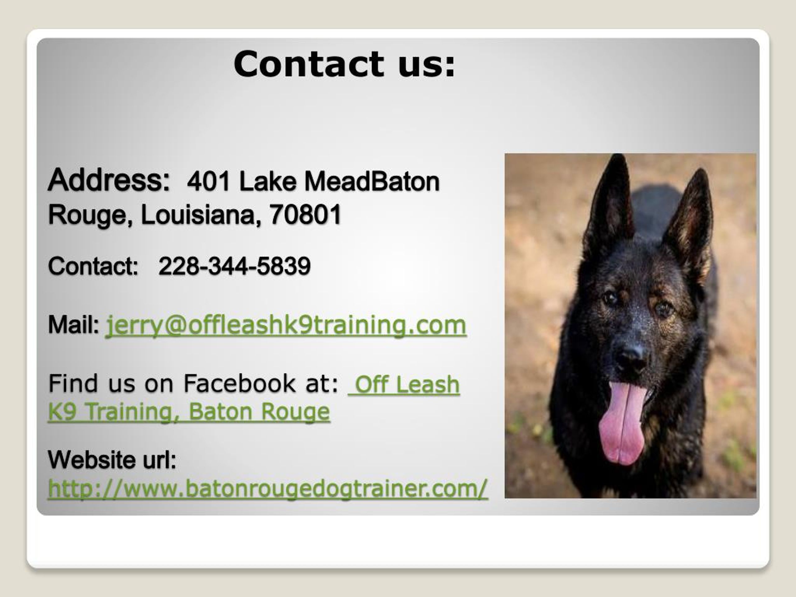 PPT Dog Trainer Baton Rouge Louisiana Dog Trainer Baton Rouge Dog