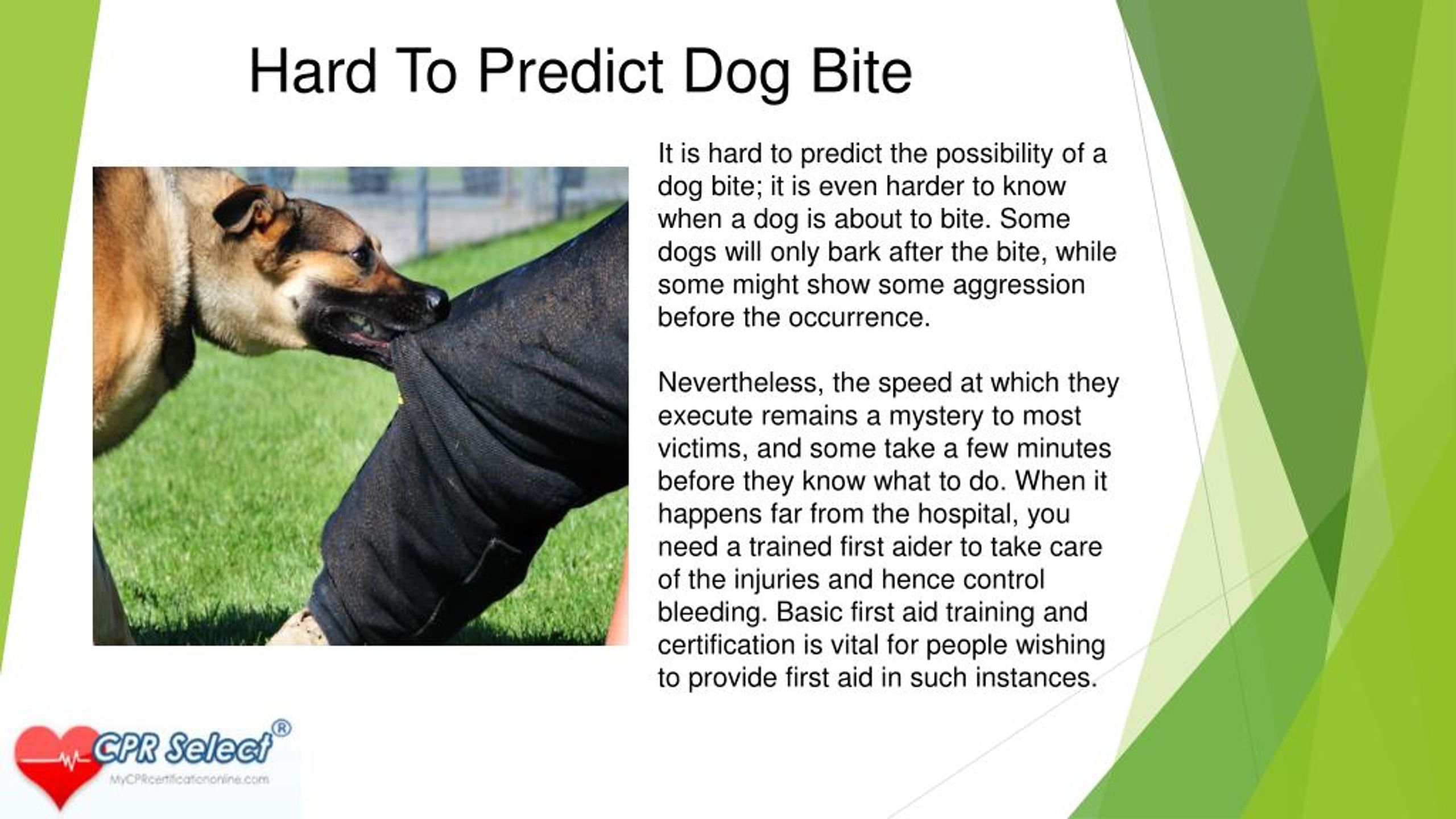PPT Basic First Aid Tips For A Dog Bite PowerPoint Presentation, free