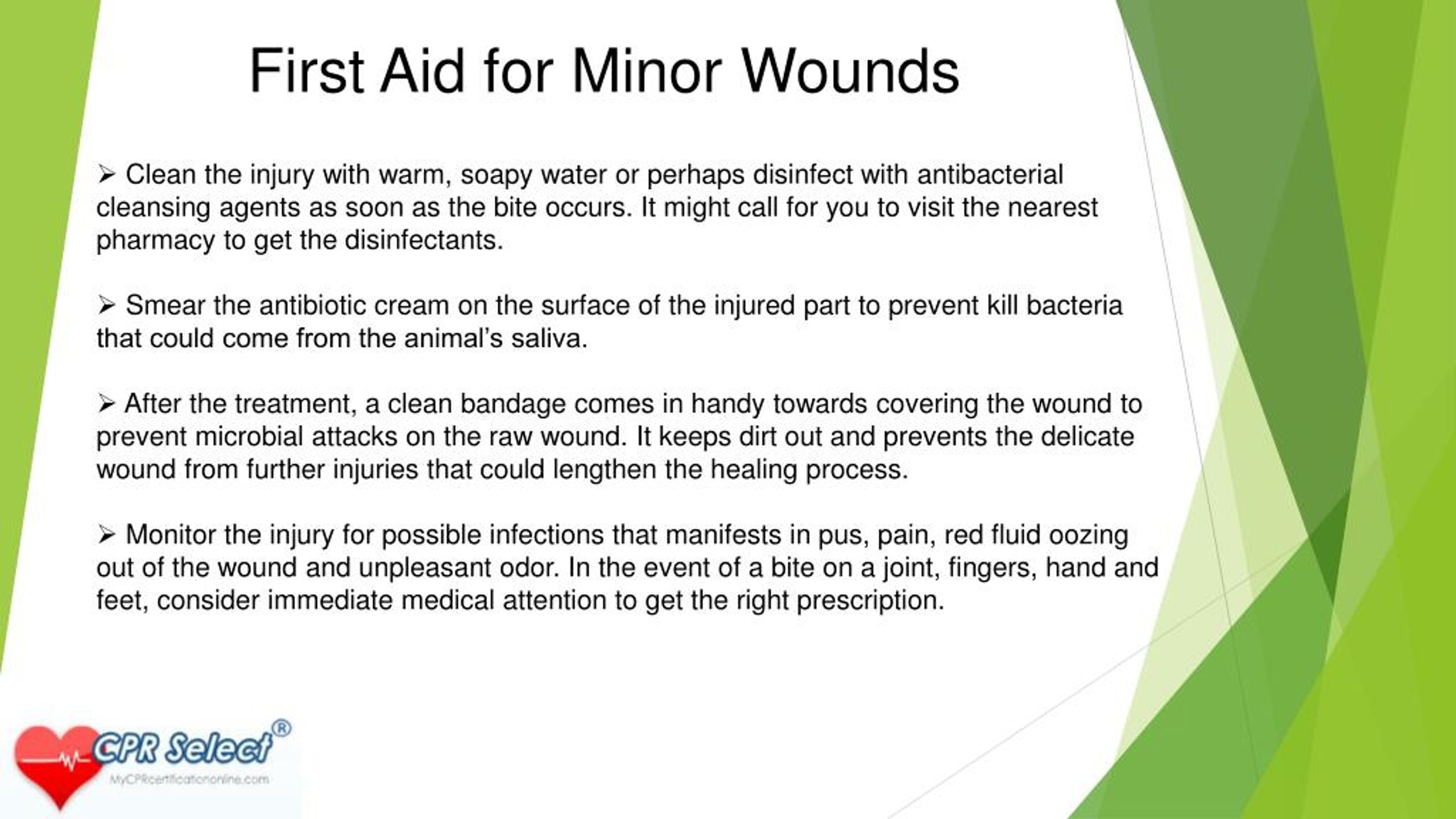 PPT Basic First Aid Tips For A Dog Bite PowerPoint Presentation, free