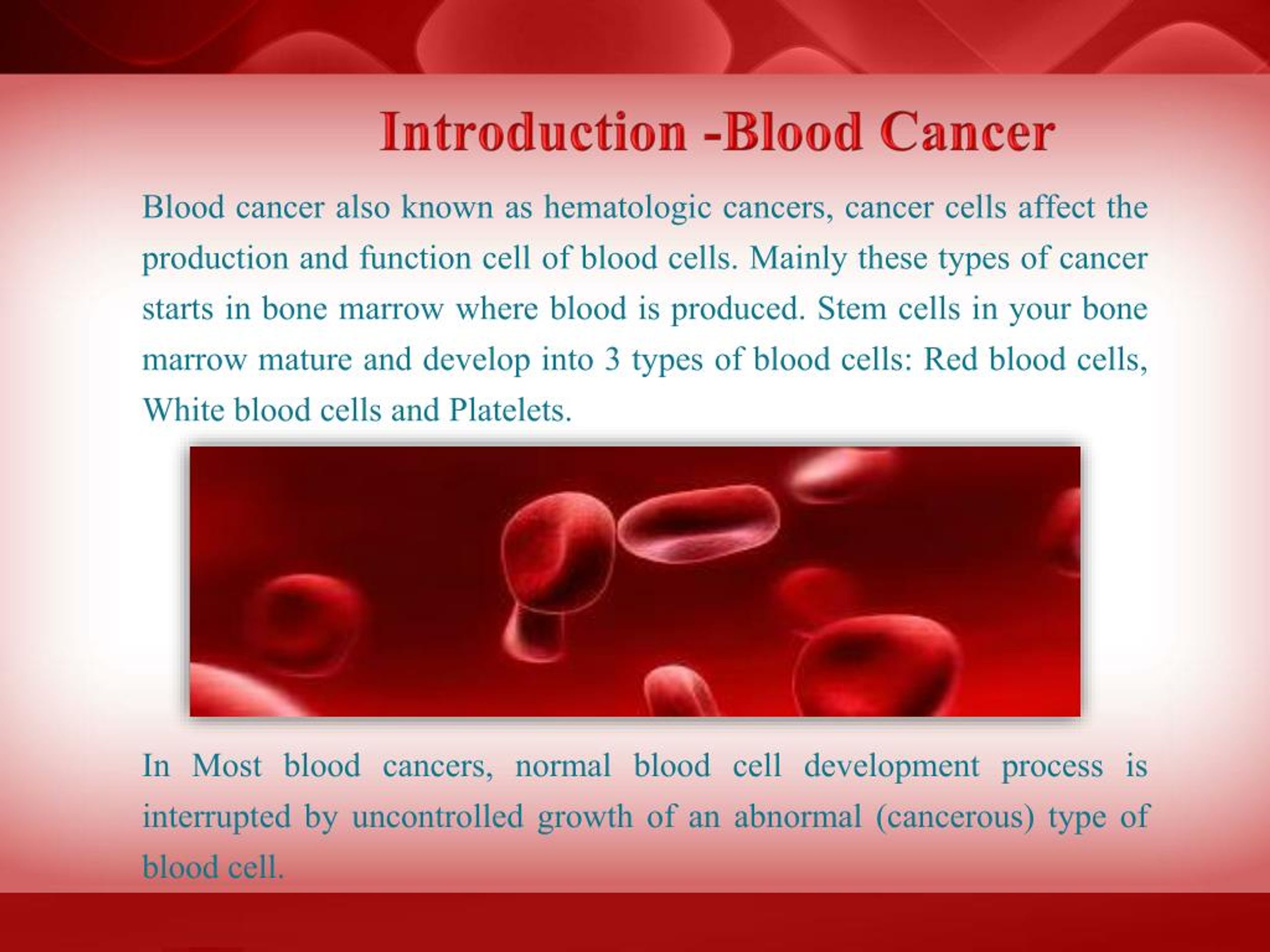 PPT Which Treatment is Best for Blood Cancer and Why? PowerPoint