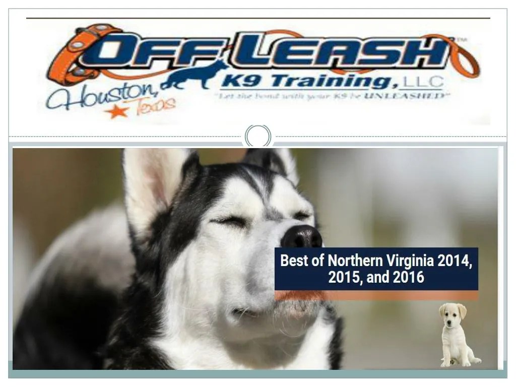 PPT Dog Trainers in Northern Virginia USA PowerPoint Presentation