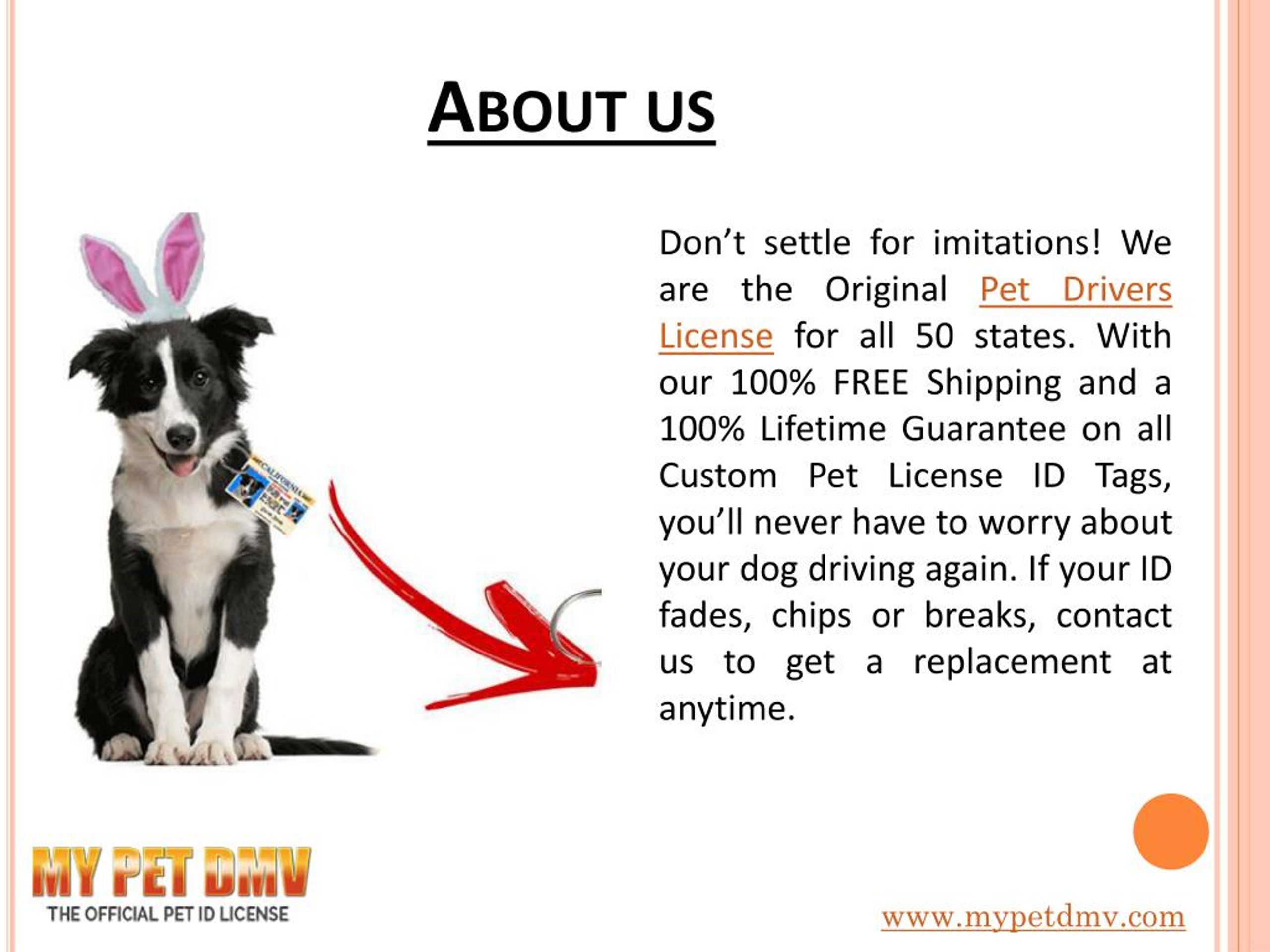 PPT Keep Your Pet Safe With Pet Drivers License My Pet DMV