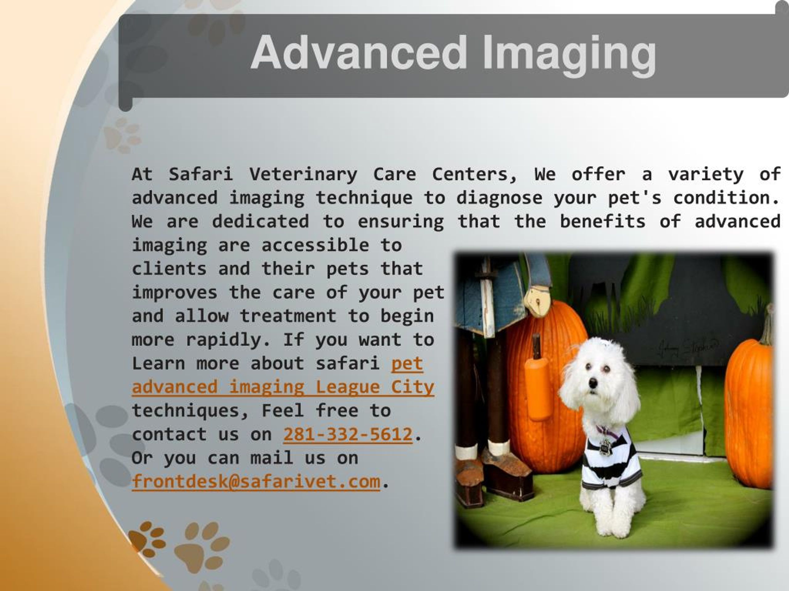 PPT Best and Affordable Pet Care Services at Safari Vet, League City