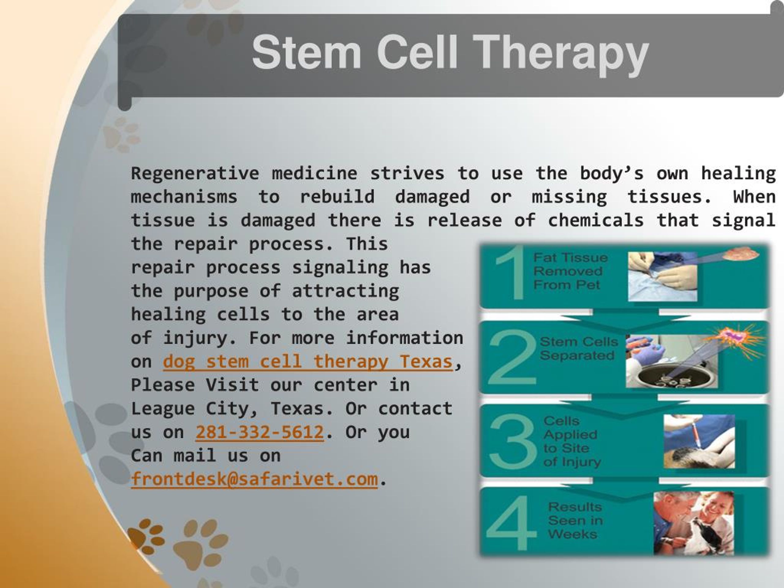 PPT Best and Affordable Pet Care Services at Safari Vet, League City