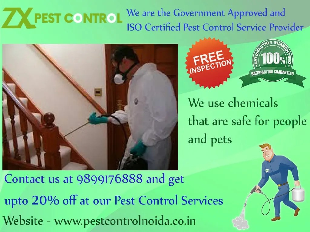 PPT Get Free Inspection & 20 Discount Pest Control Noida & Delhi/NCR