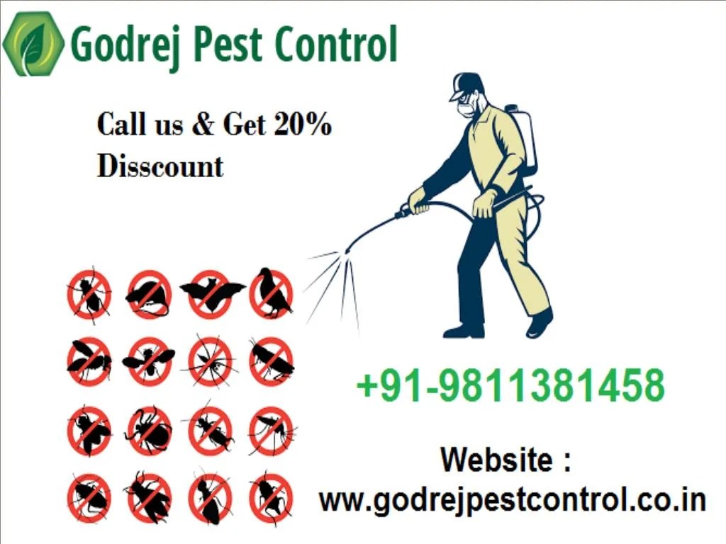 PPT Pest Control Gurgaon Get 20 Discount Free Inspection
