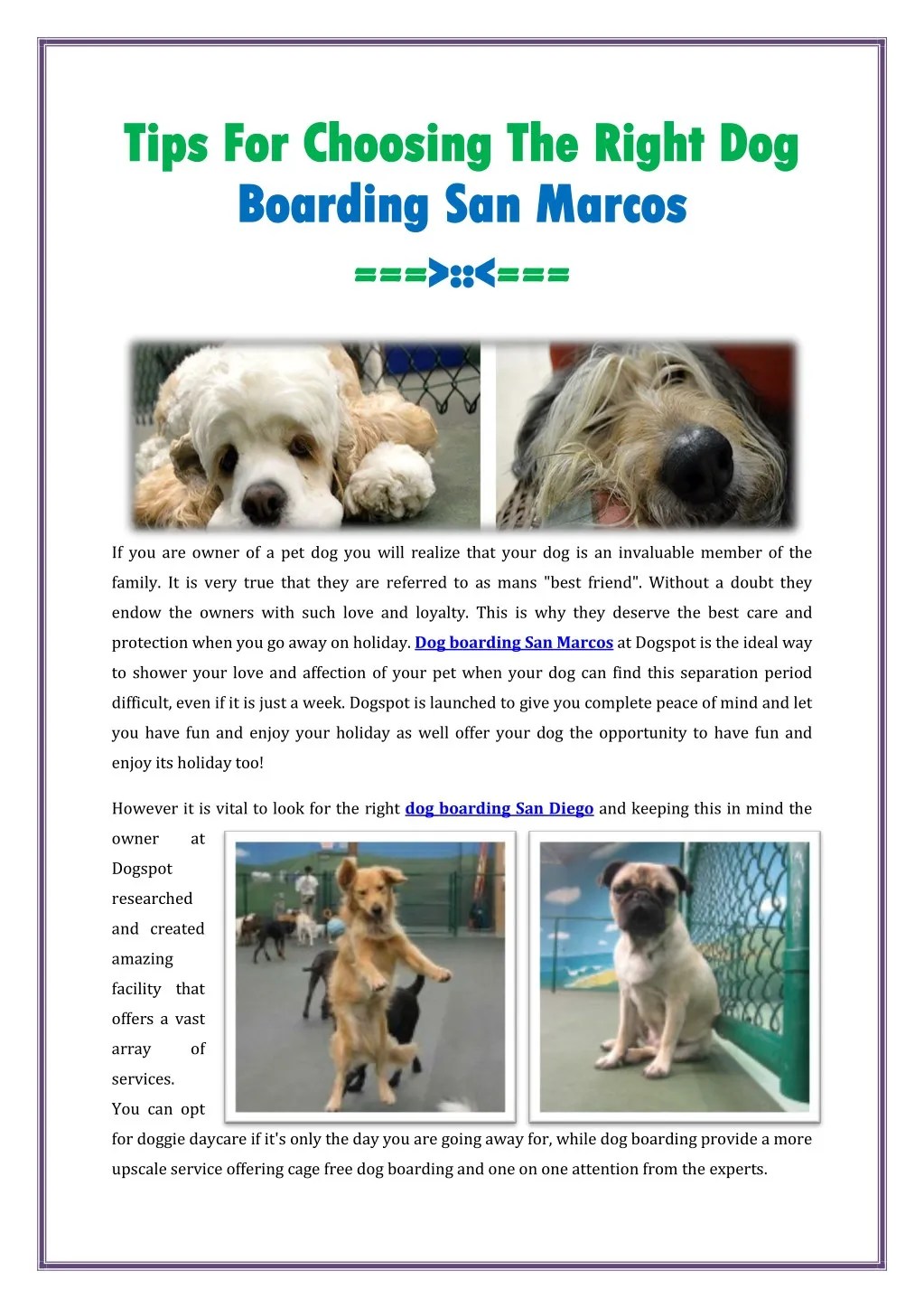 PPT Dog Boarding San Marcos PowerPoint Presentation, free download