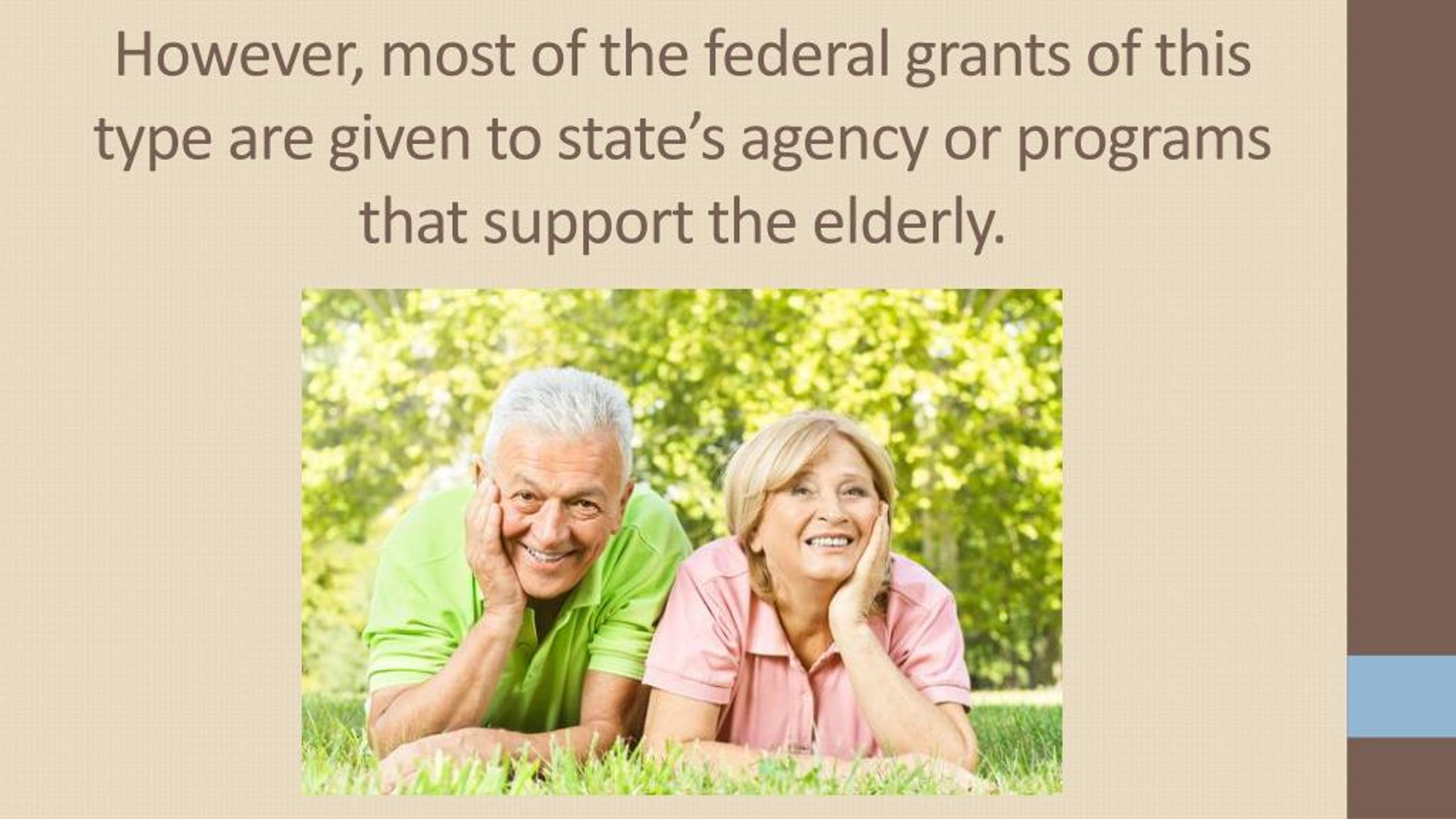 PPT Government Grants For Seniors PowerPoint Presentation, free