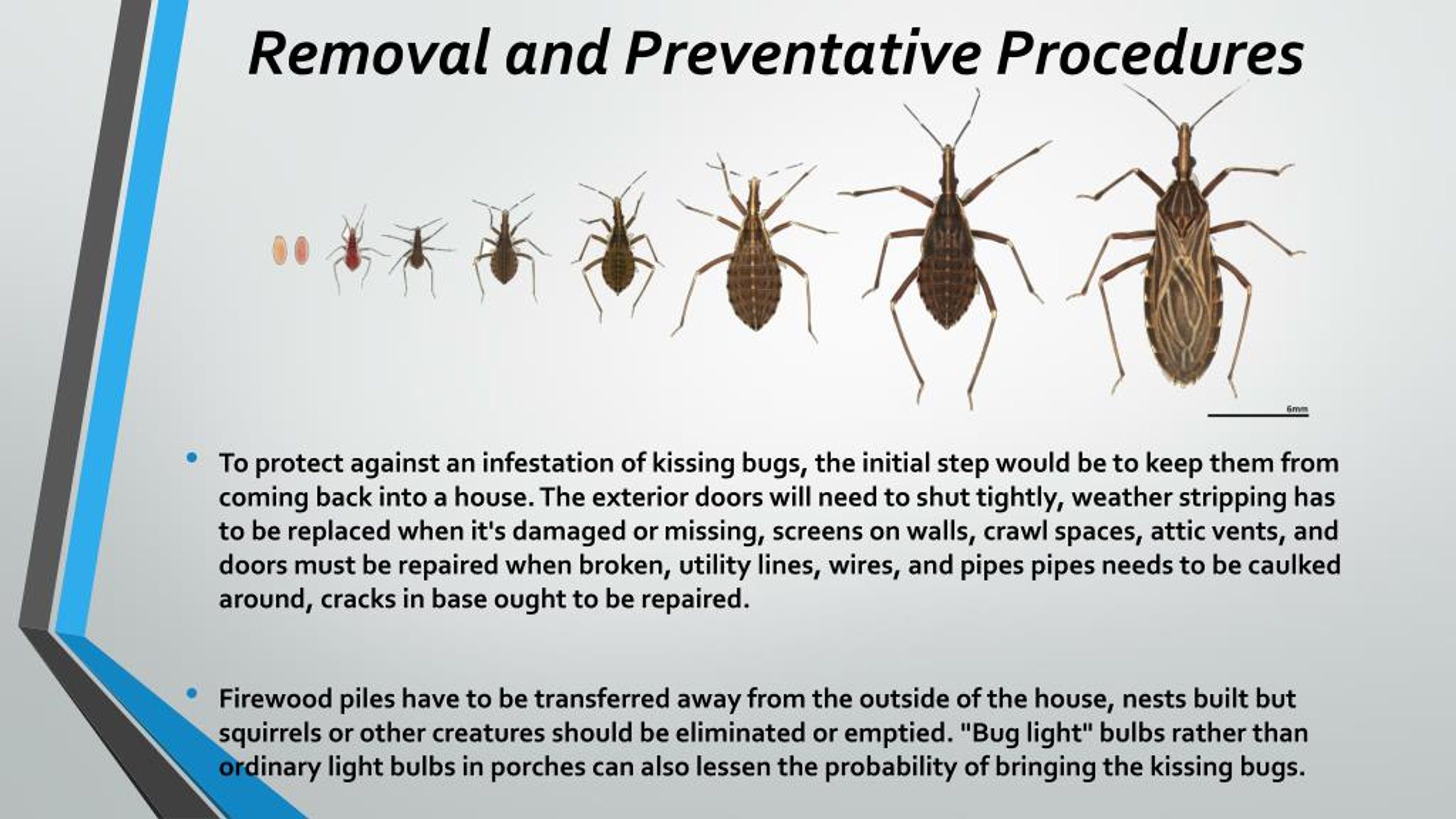 PPT How to get rid of Kissing Bugs PowerPoint Presentation, free