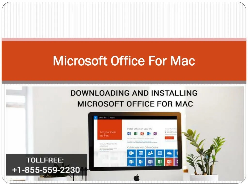 Microsoft Publisher for Mac Alternative