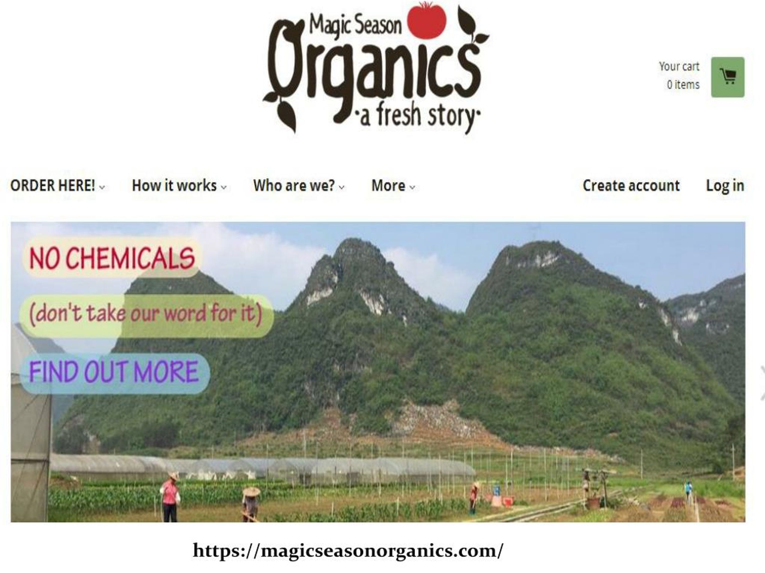PPT Organic Food Hong Kong PowerPoint Presentation, free download