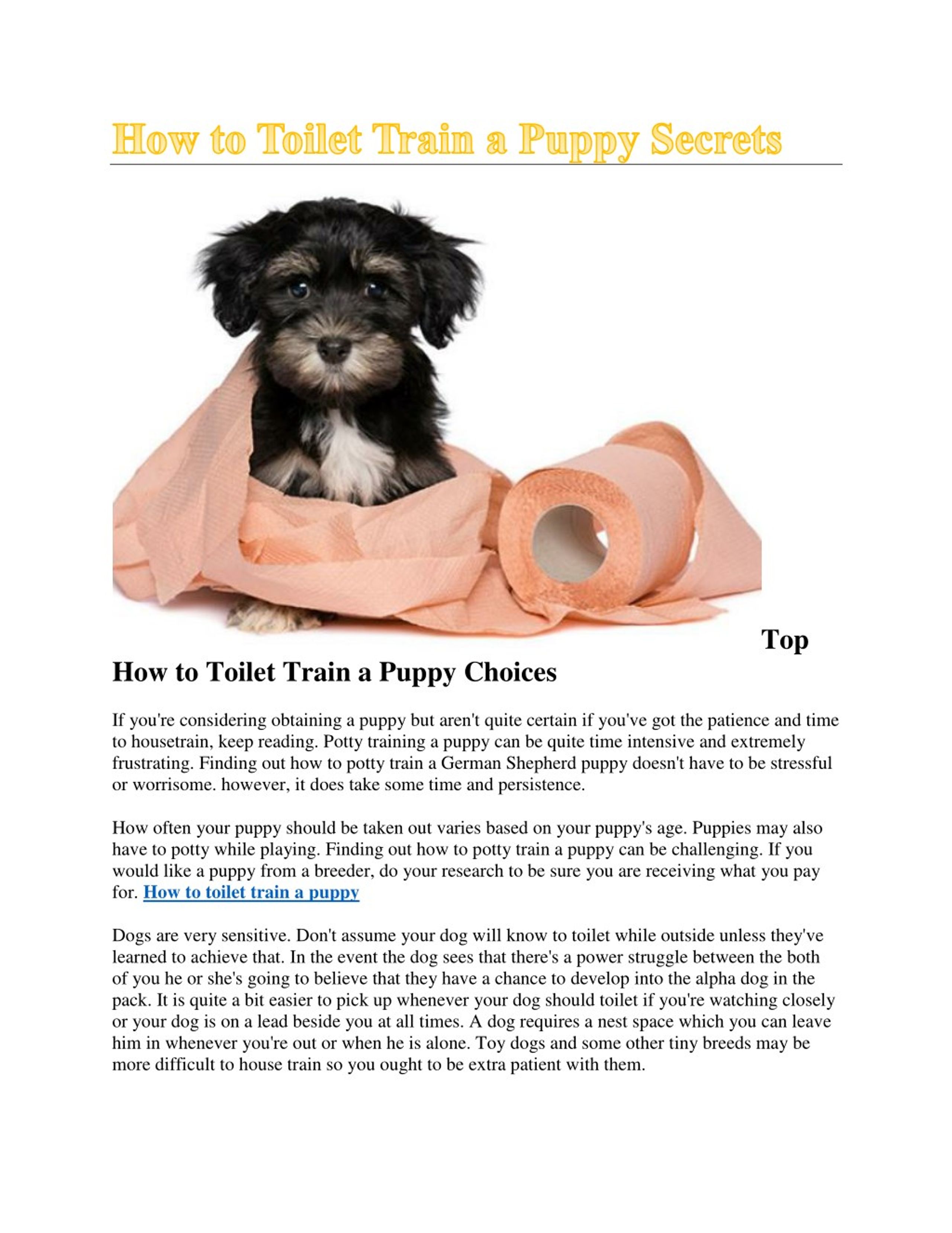 PPT How to toilet train a puppy PowerPoint Presentation, free