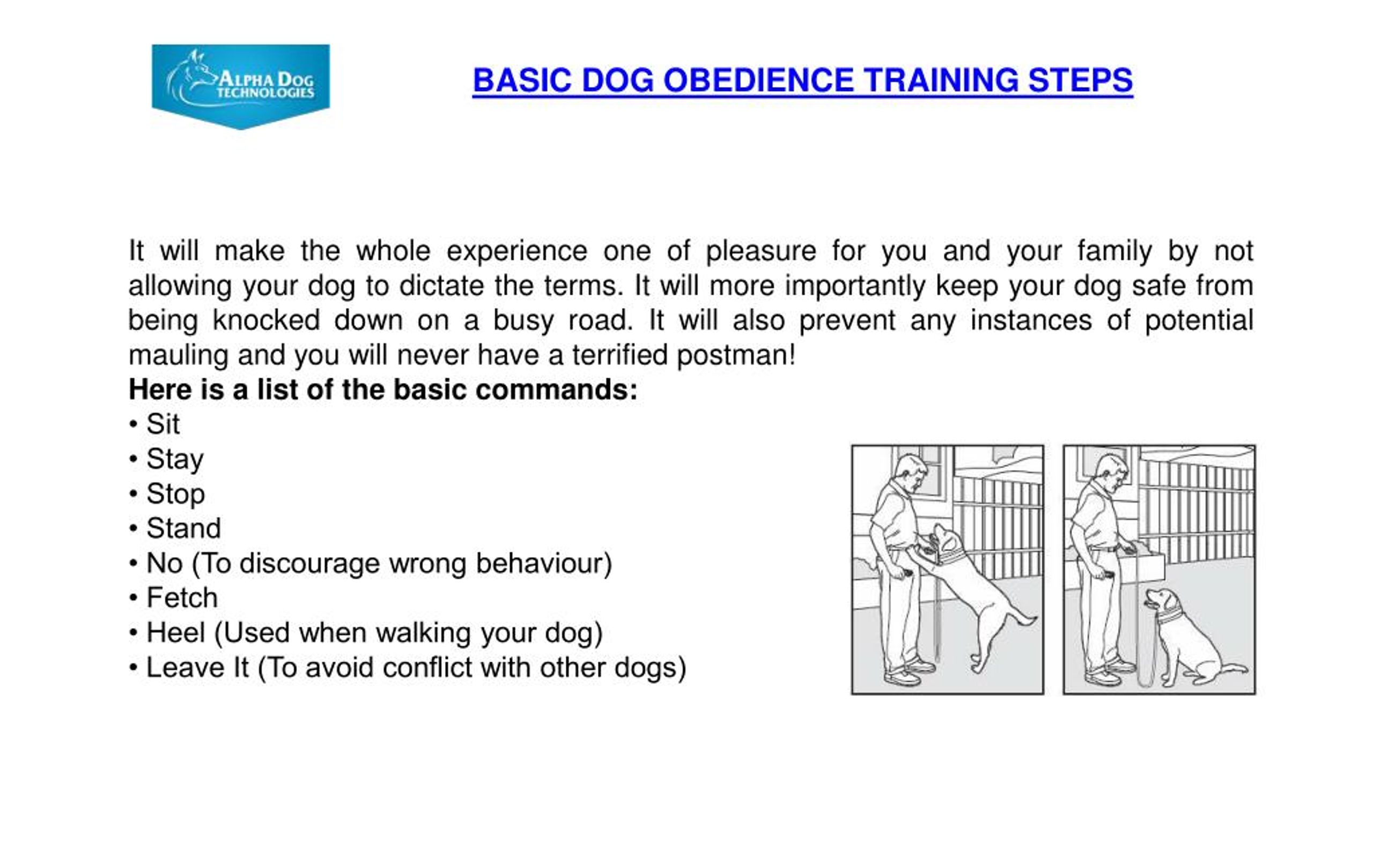 PPT Basic Dog Obedience Training Steps PowerPoint Presentation, free