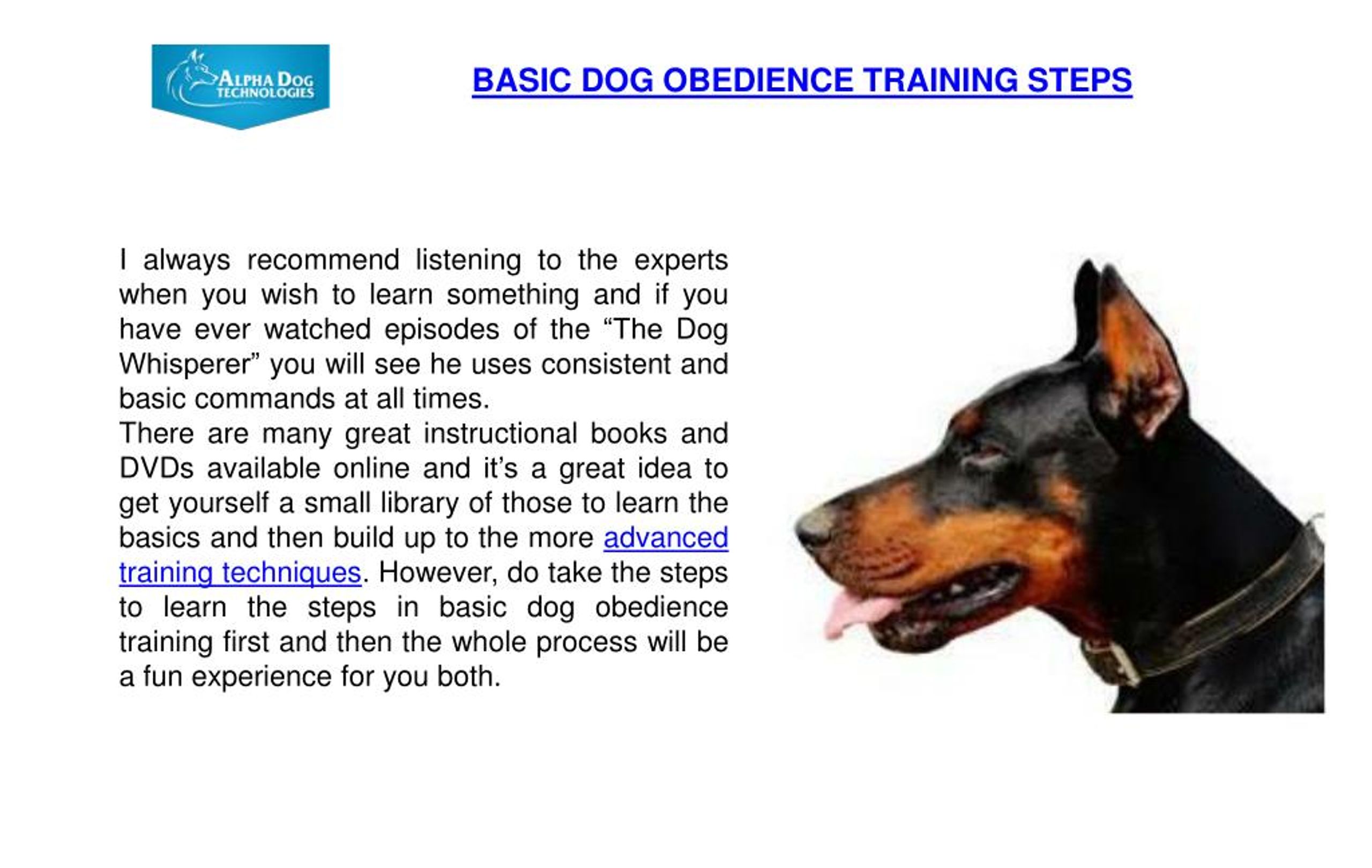 PPT Basic Dog Obedience Training Steps PowerPoint Presentation, free