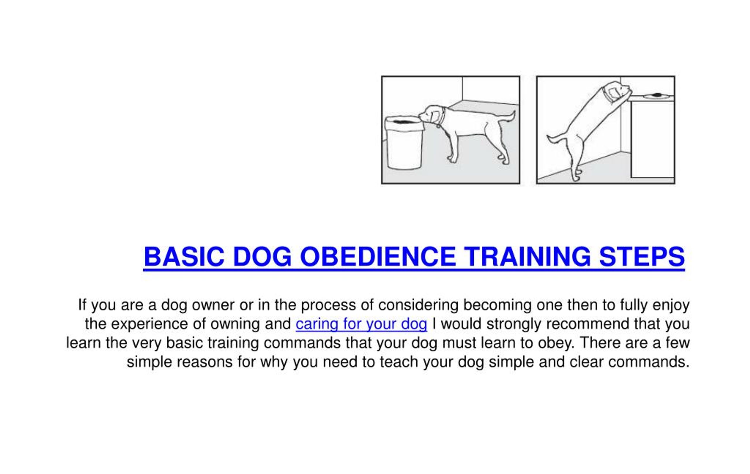 PPT Basic Dog Obedience Training Steps PowerPoint Presentation, free