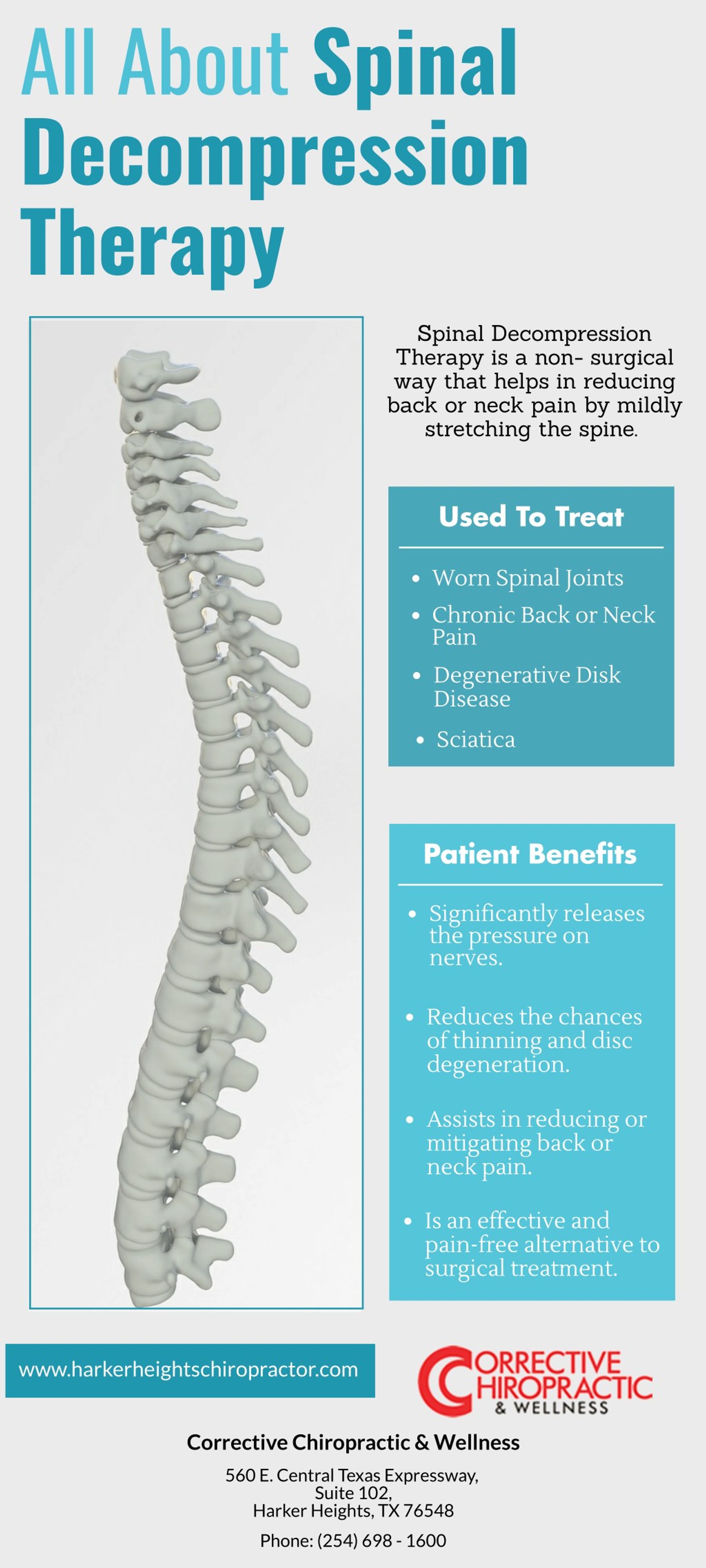 PPT All About Spinal Therapy PowerPoint