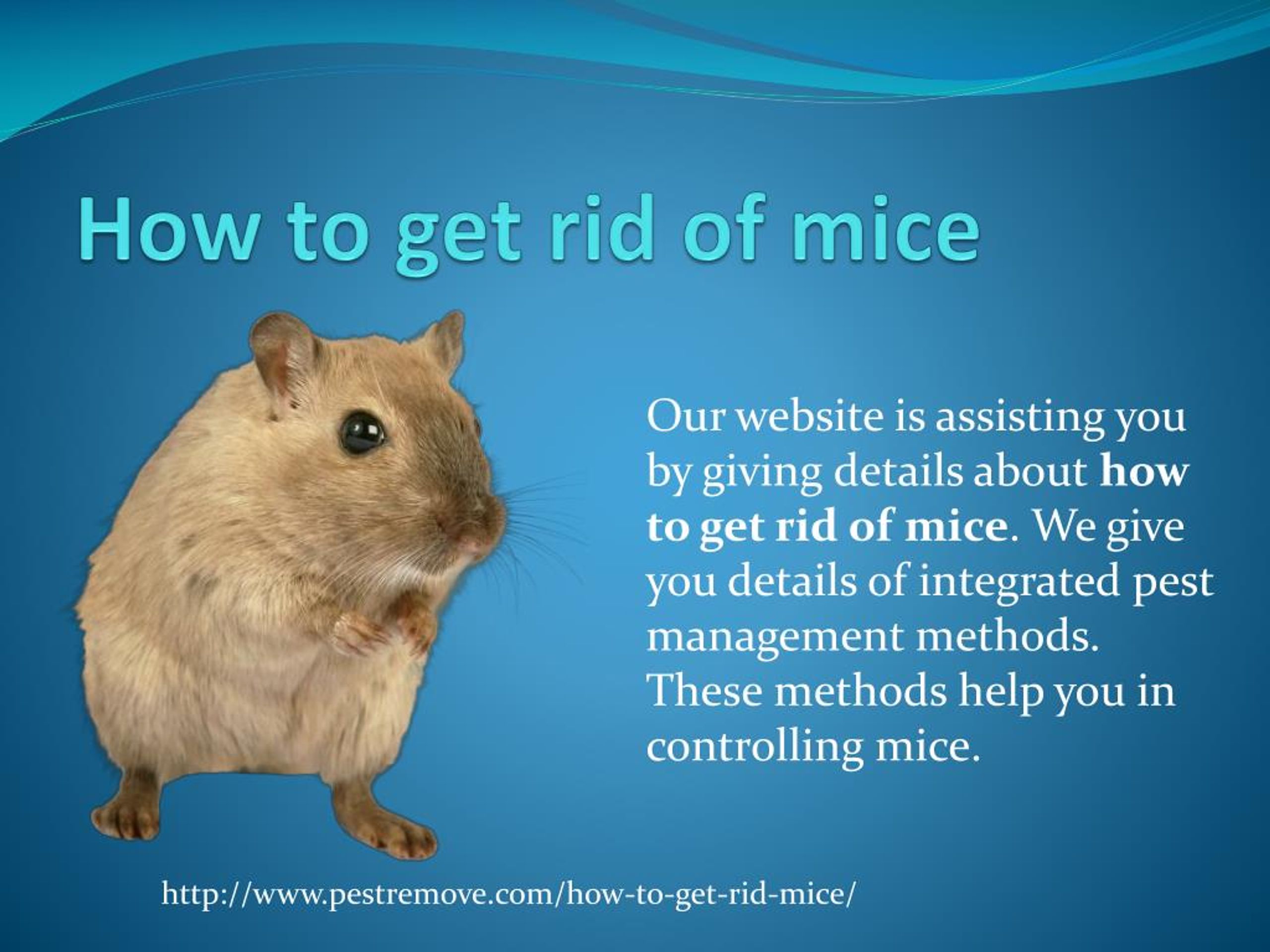 PPT HOW TO GET RID OF MICE PowerPoint Presentation, free download