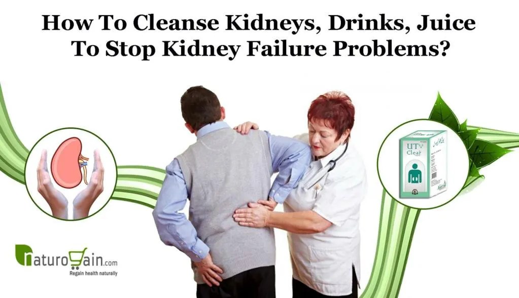 PPT How to Cleanse Kidneys, Drinks, Juice to Stop Kidney Failure