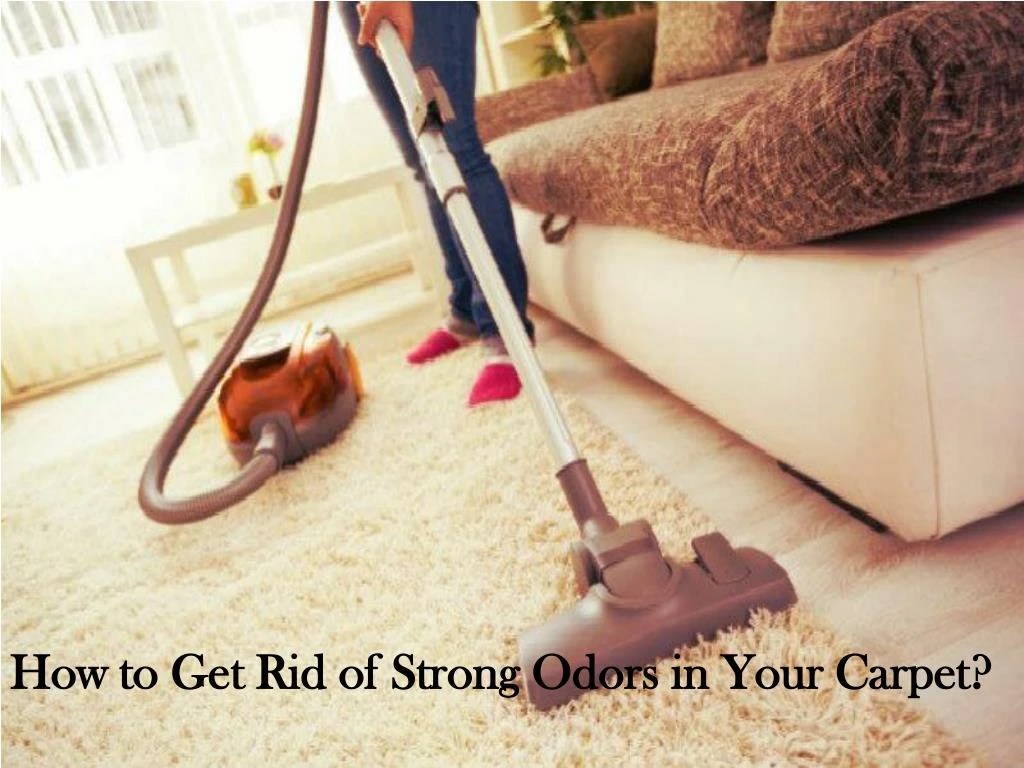PPT How do I get rid of a bad smell in my carpet? PowerPoint