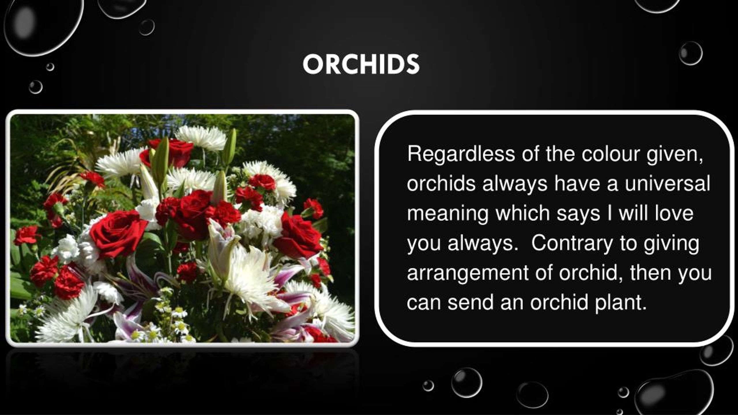 PPT The meaning behind funeral flowers PowerPoint Presentation, free download ID7987820