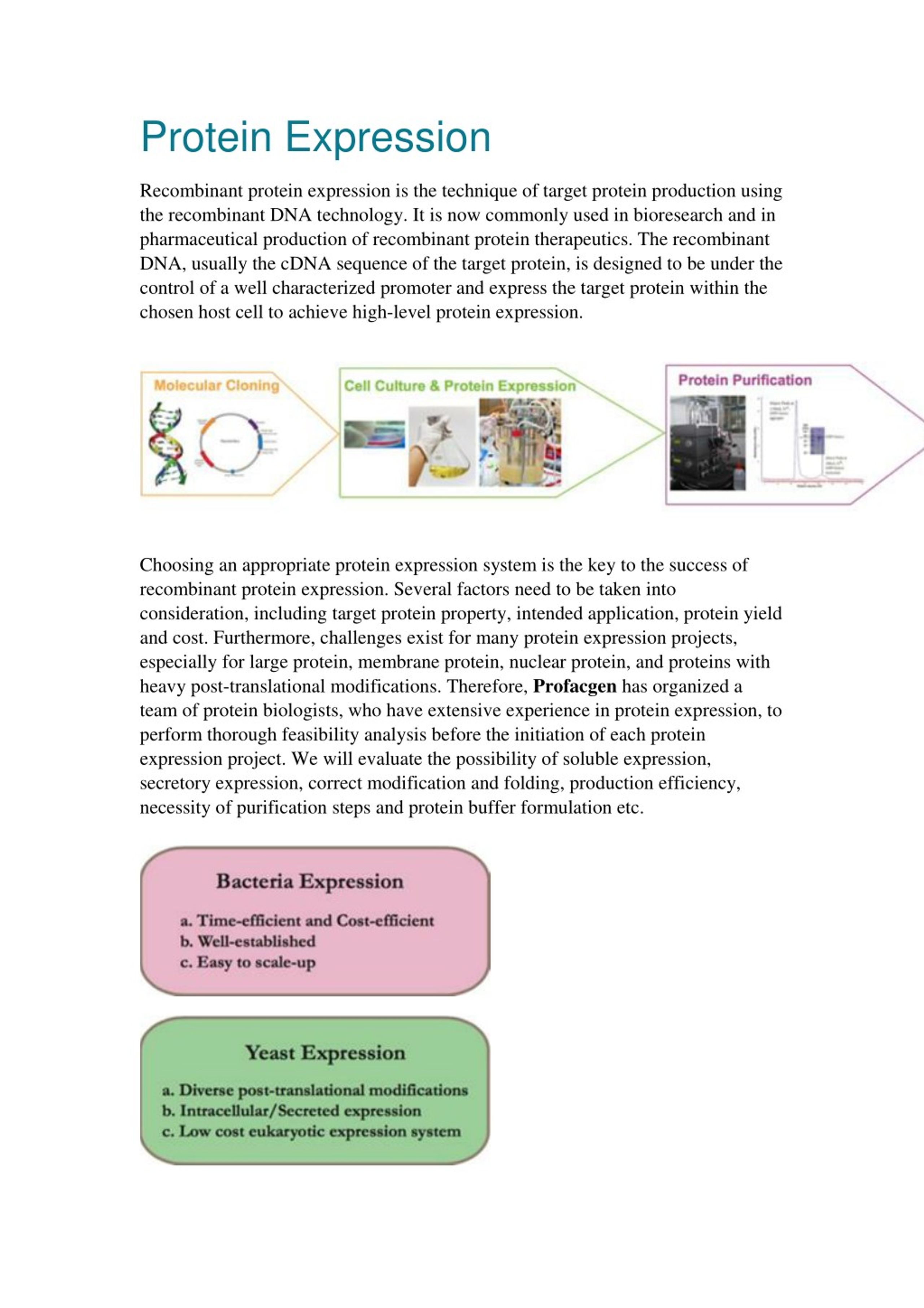 PPT Protein Expression PowerPoint Presentation, free download ID8115835