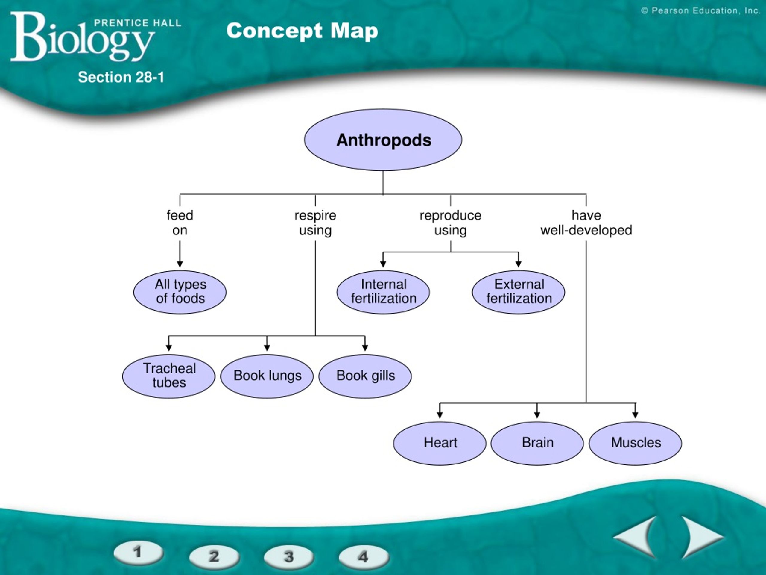 1.1: Themes and Concepts of Biology Biology.