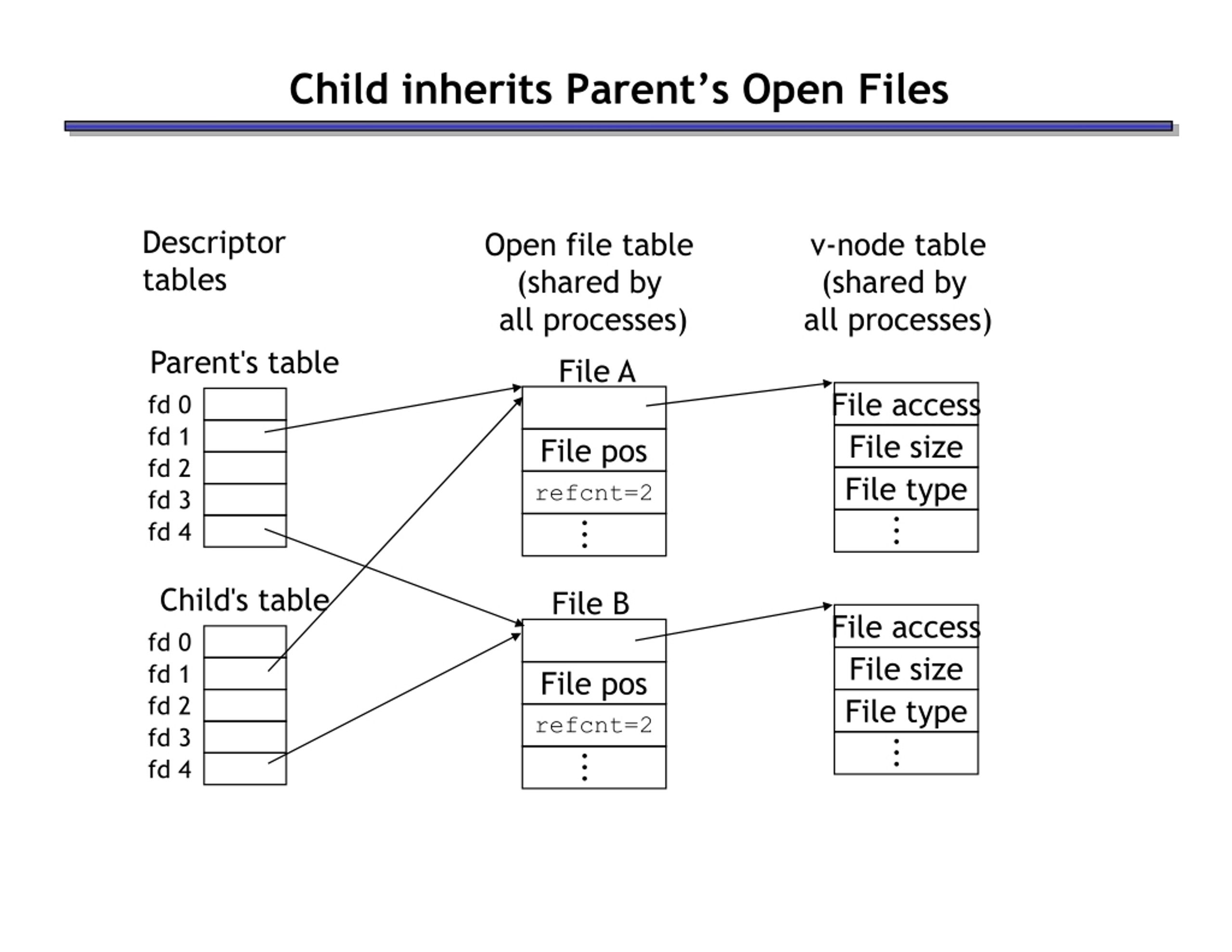 Fork A Child Process To Communicate With Httpd at Derrick Kruse blog