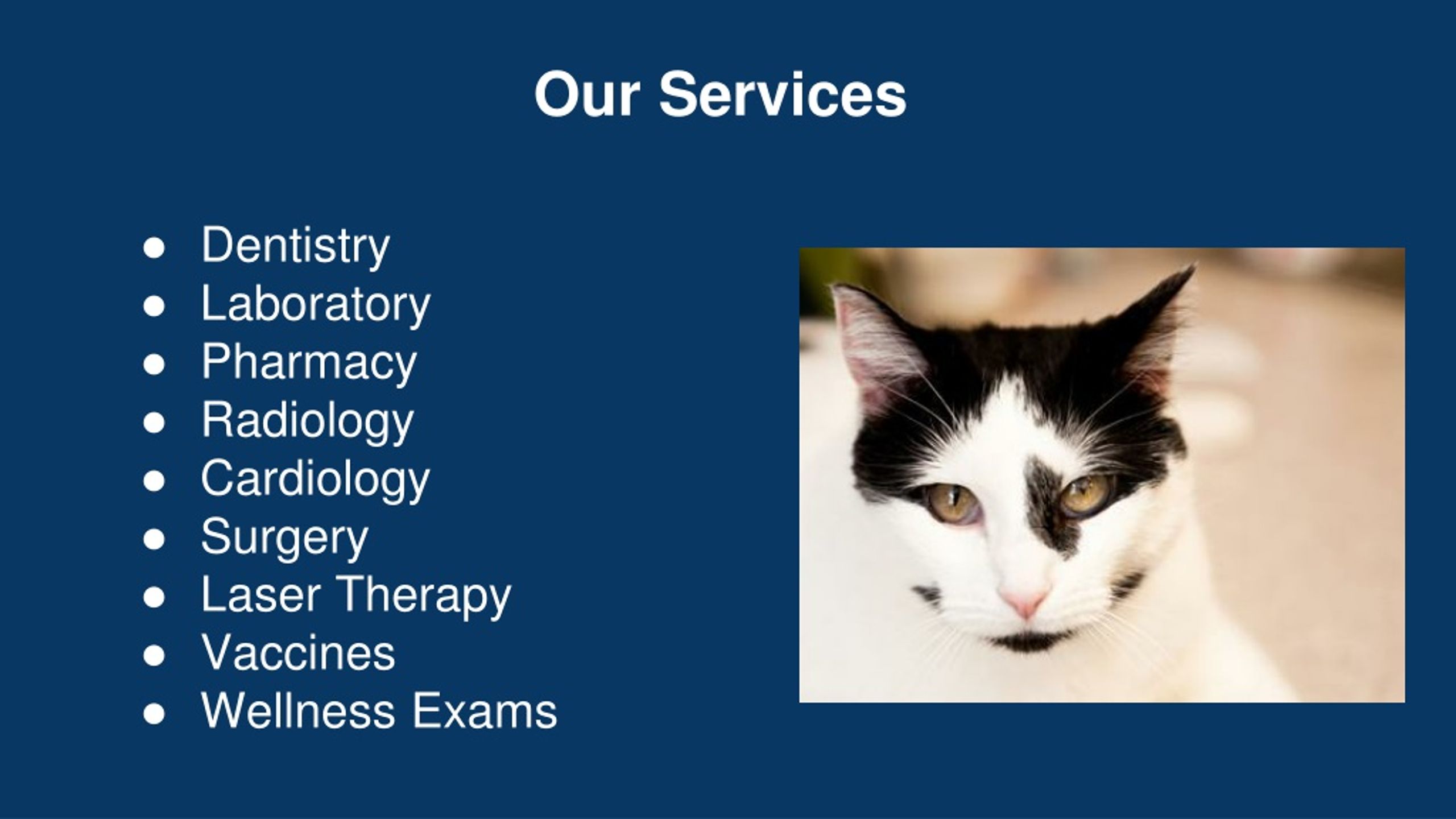 PPT Leading Veterinary Hospital Middletown PowerPoint Presentation, free download ID8165759
