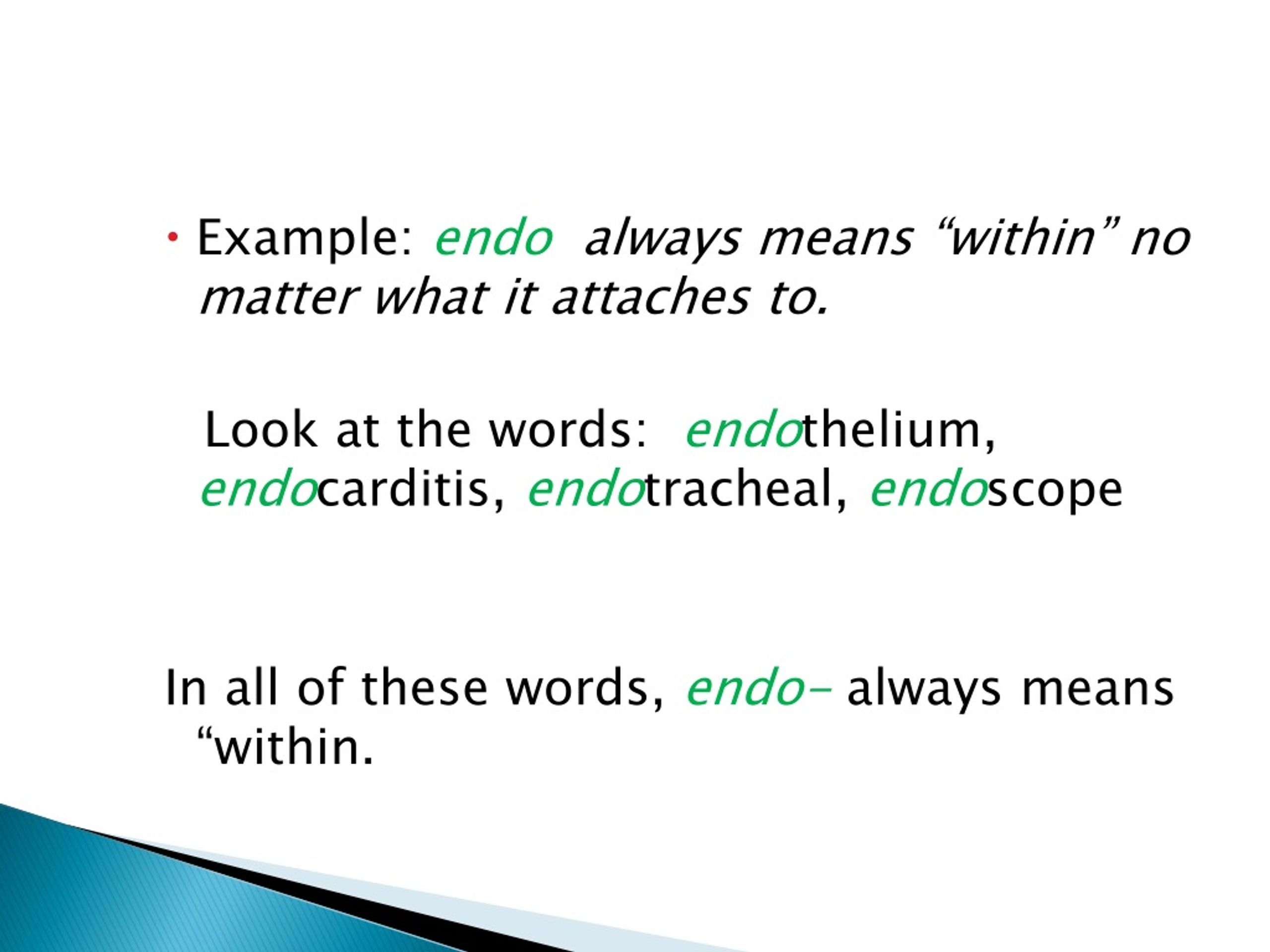 PPT Medical Terminology Basics PowerPoint Presentation, free download