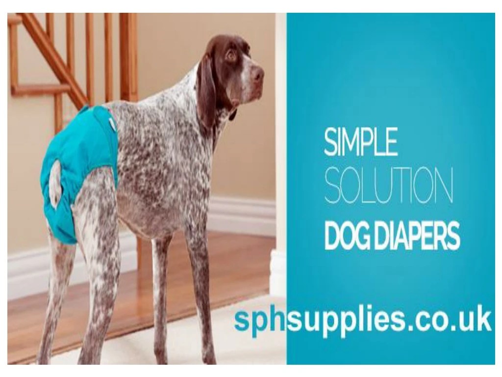 PPT Pet Supplies UK Pet Supplies Online Pet Supplies Store Pet