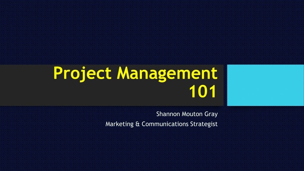 PPT Project Management 101 PowerPoint Presentation, free download