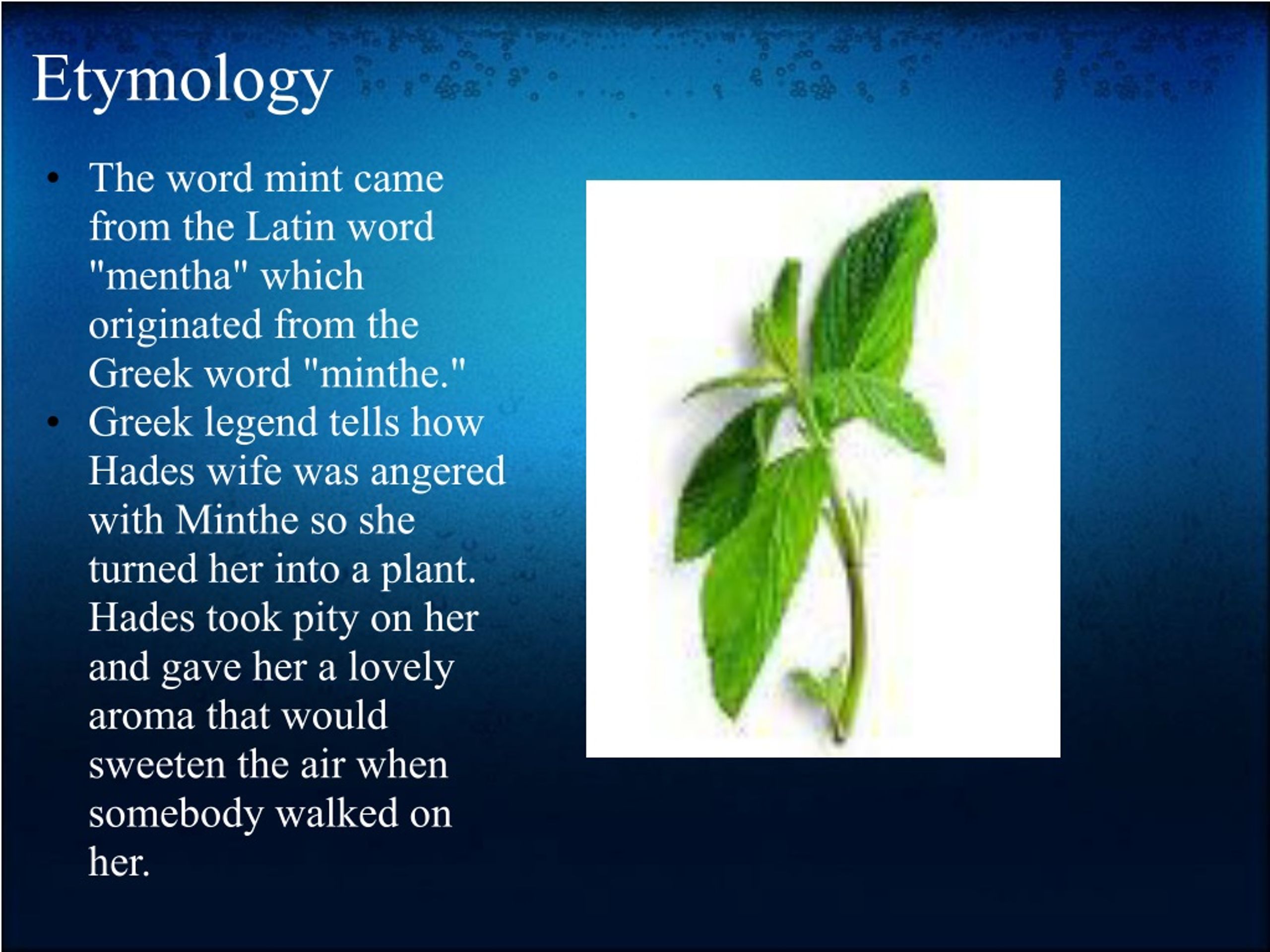 PPT Mint PowerPoint Presentation, free download ID8526464