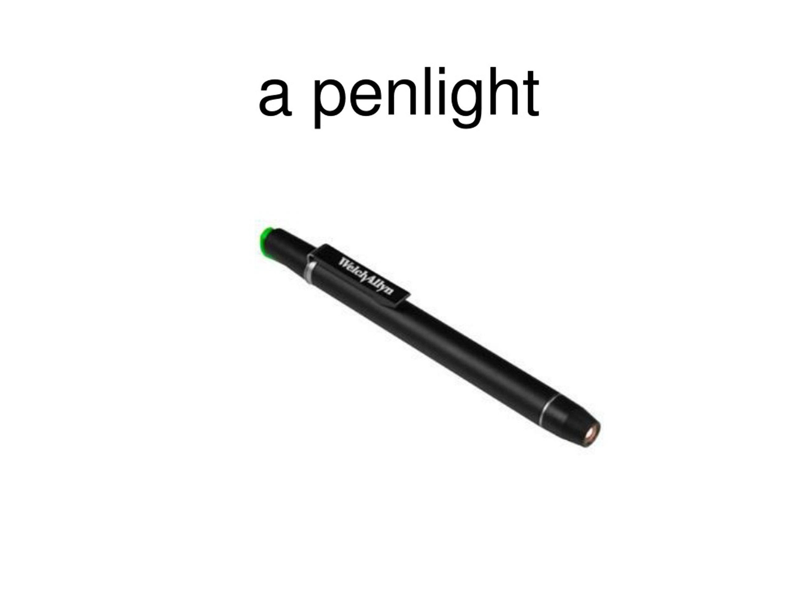 PPT Medical School PowerPoint Presentation, free download ID8554133