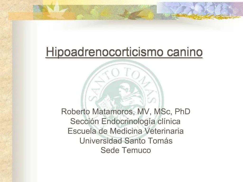 PPT Hipoadrenocorticismo canino PowerPoint Presentation, free