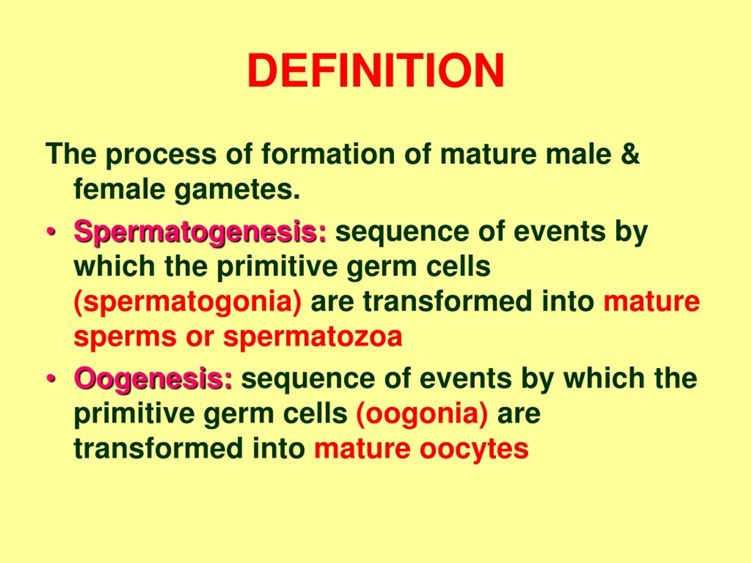 PPT GAMETOGENESIS PowerPoint Presentation, free download ID8675614