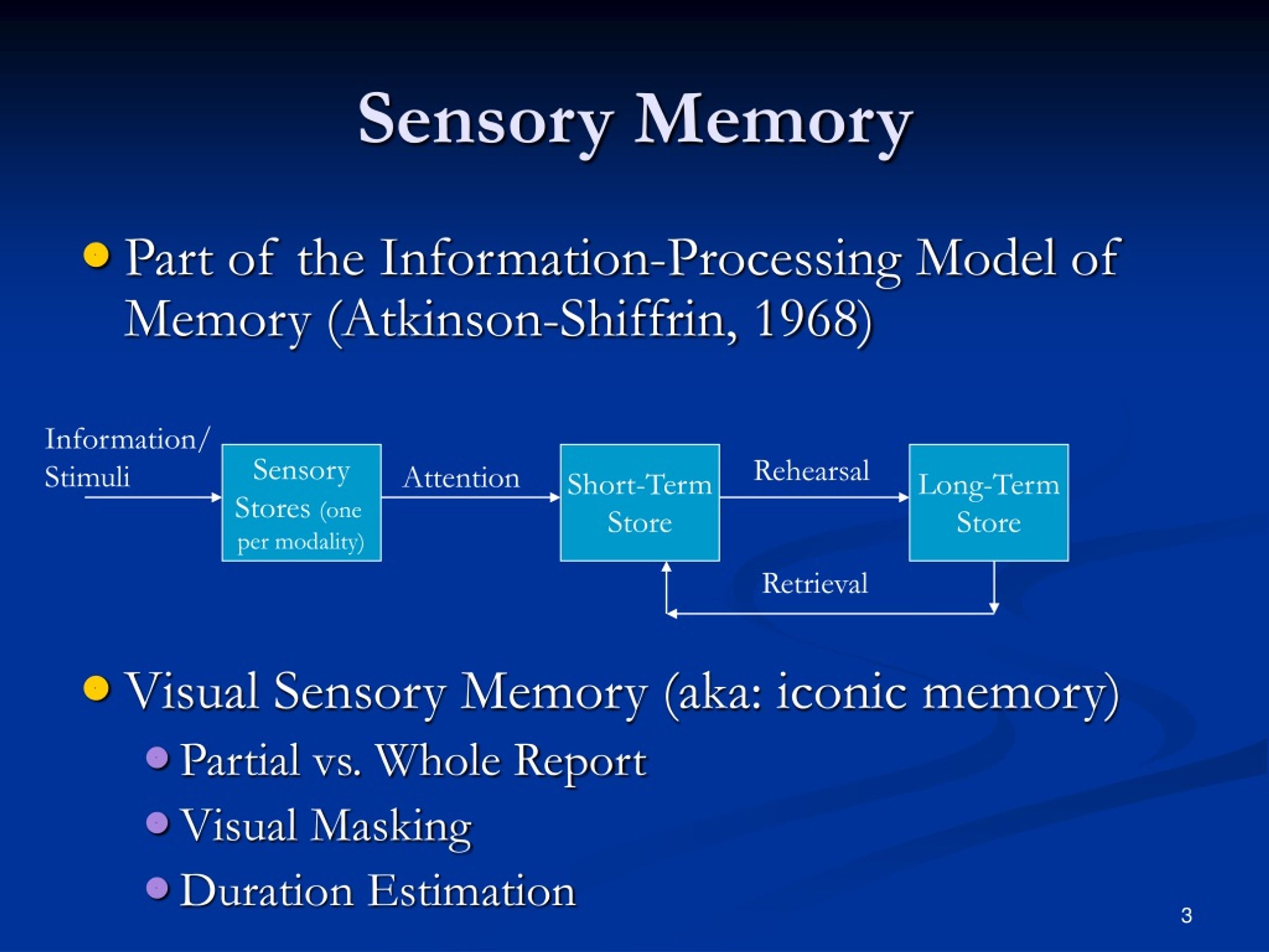PPT Sensory and ShortTerm Memory PowerPoint Presentation, free