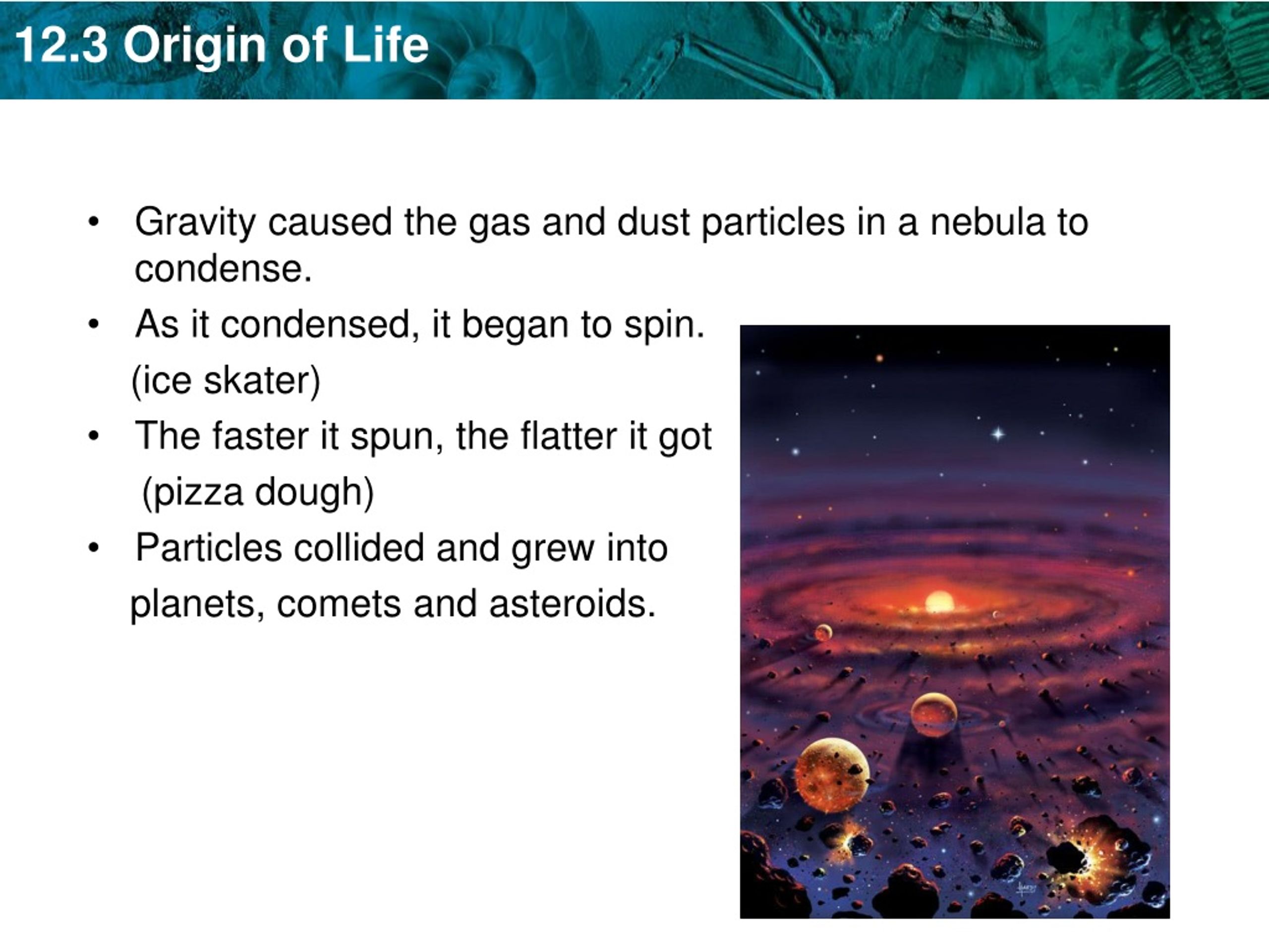 PPT 12.3 The Origin of Life PowerPoint Presentation, free download