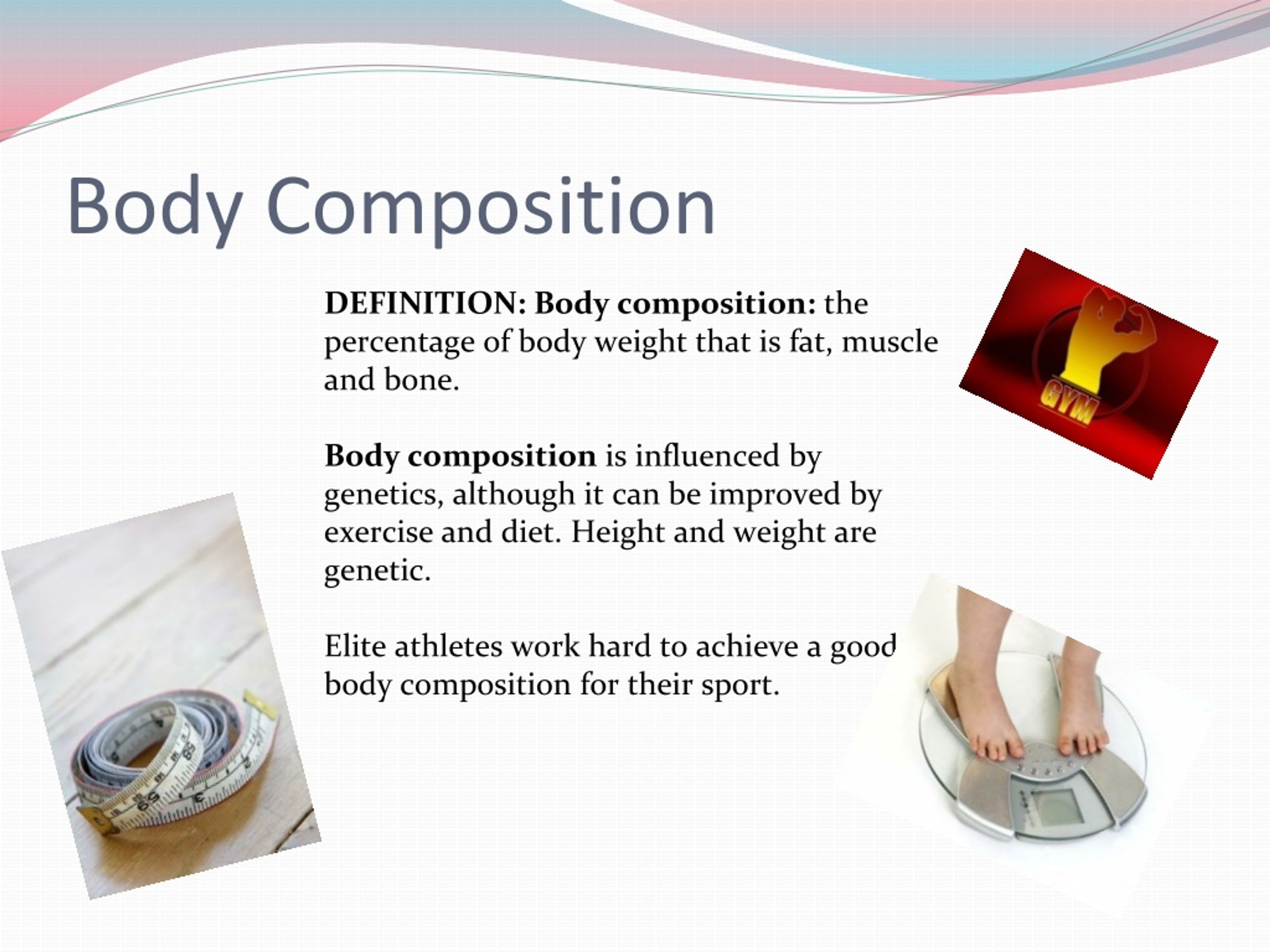 PPT Components of Fitness PowerPoint Presentation, free download ID