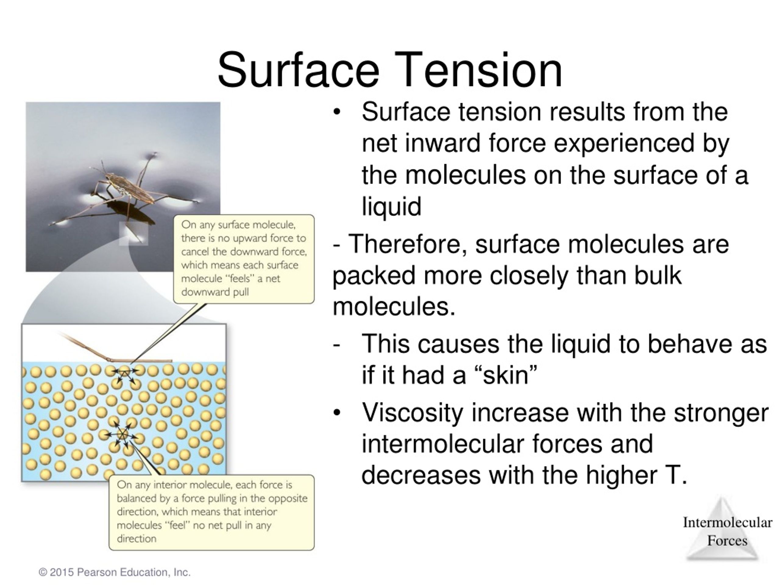 PPT - Chapter 11 Liquids and Intermolecular Forces MCQ 3 out of 60 FRQ