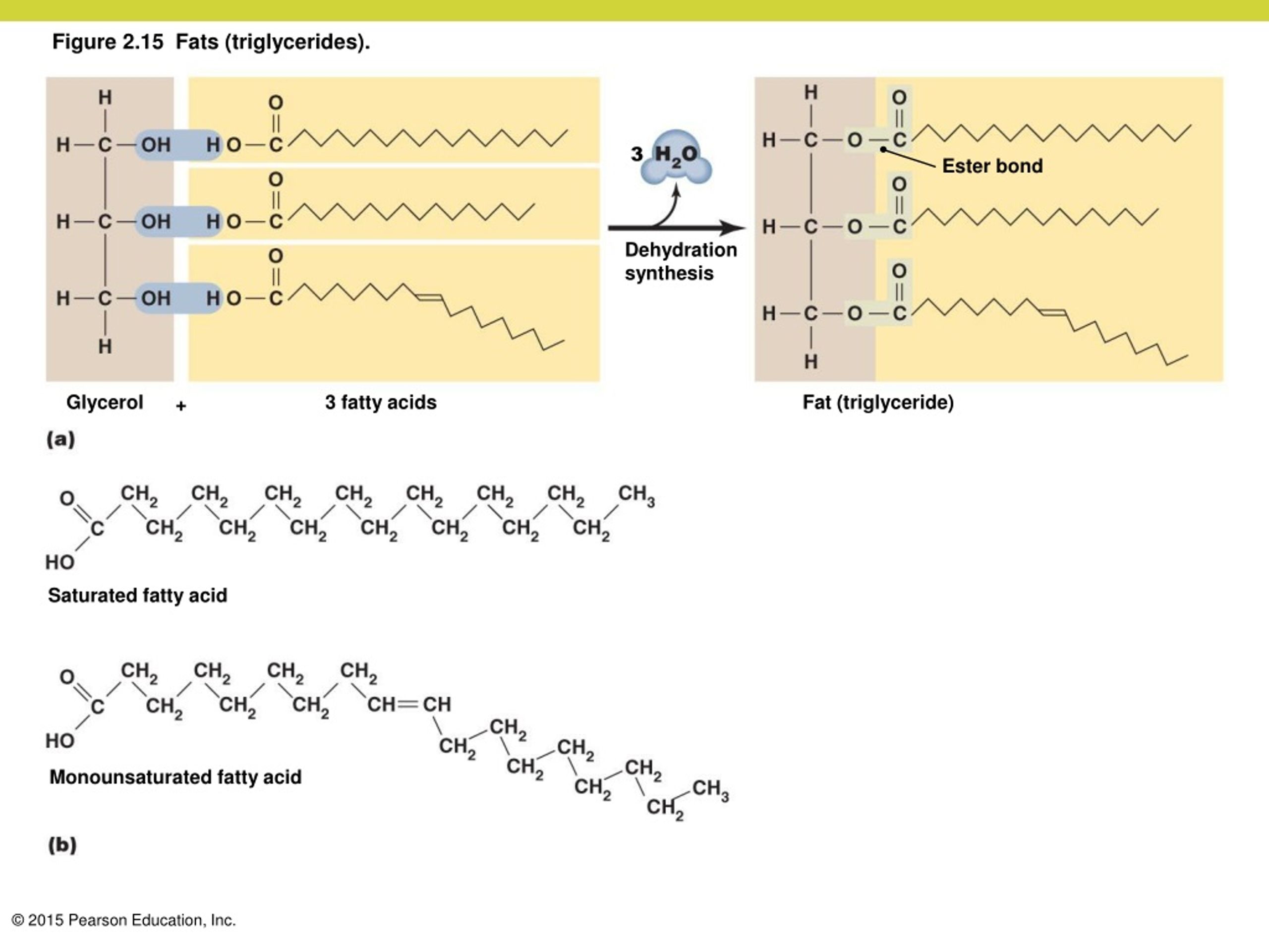 PPT The Chemistry of Microbiology PowerPoint Presentation, free