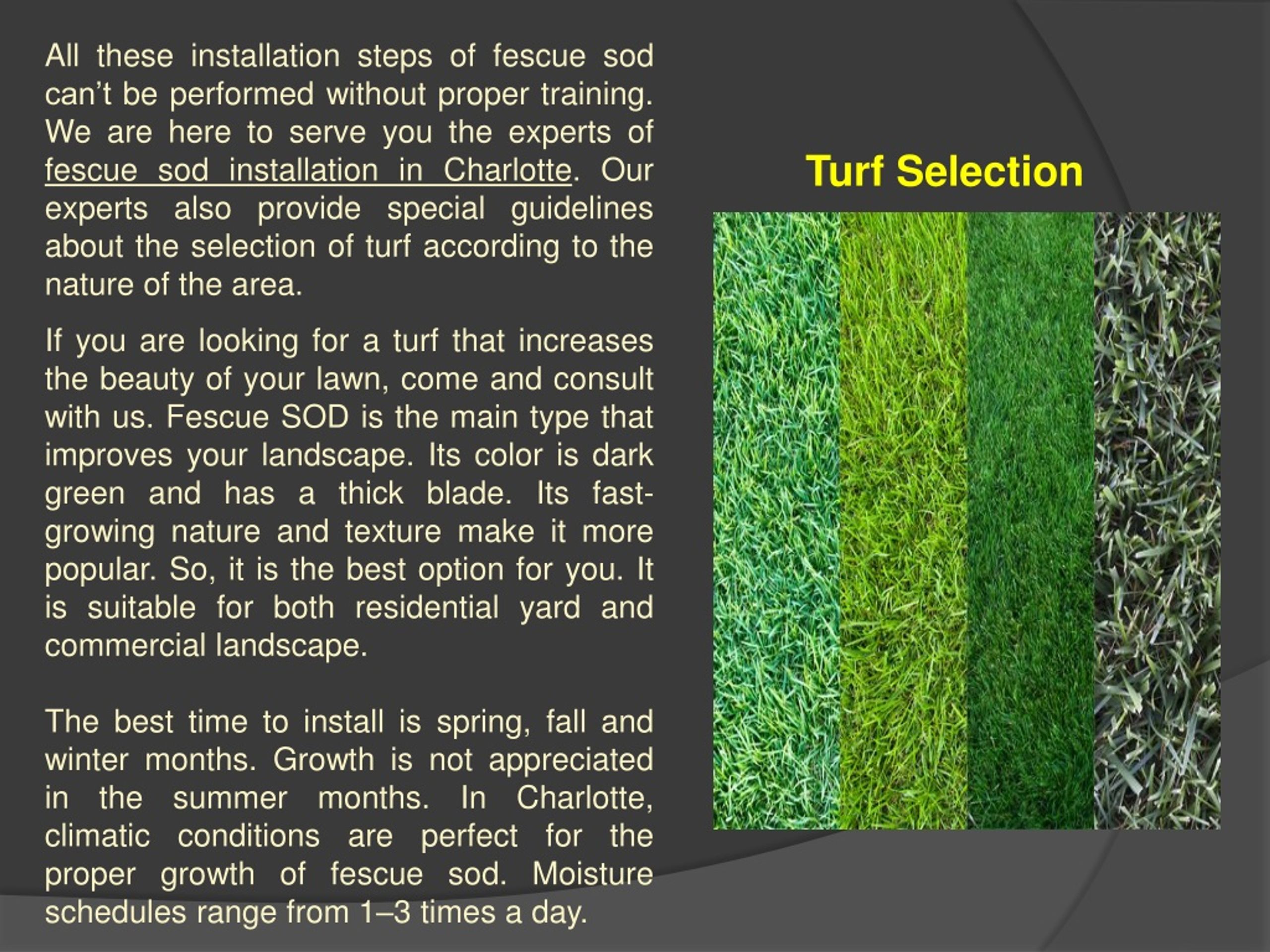 PPT Opt For The Best Fescue SOD Installation In Charlotte PowerPoint