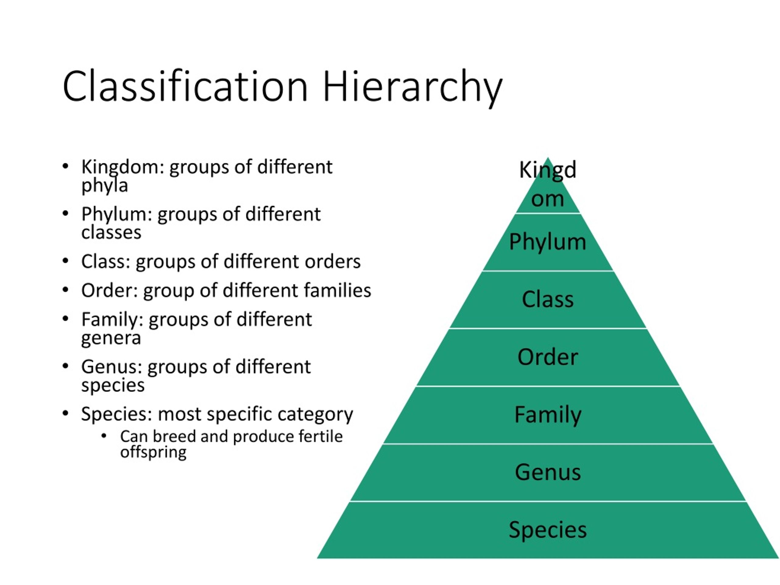 PPT Classification PowerPoint Presentation, free download ID8885977