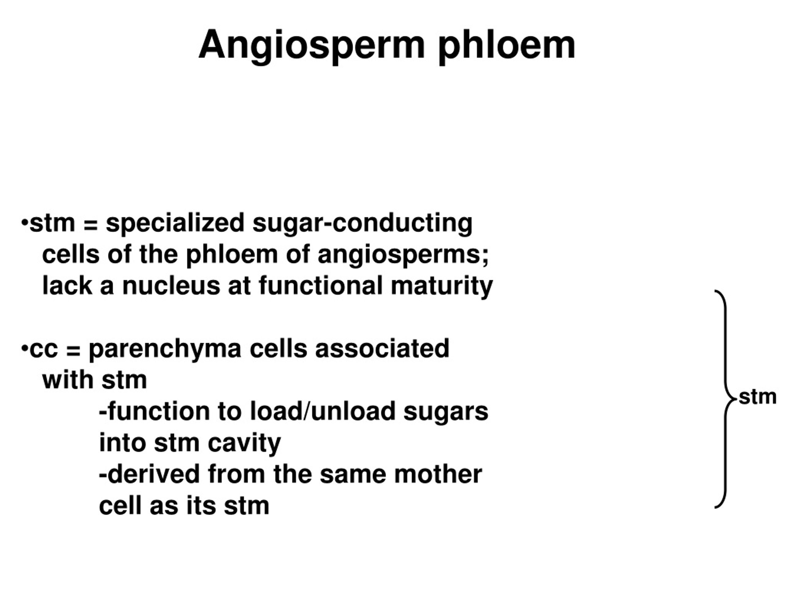 PPT Origins of Angiosperms PowerPoint Presentation, free download