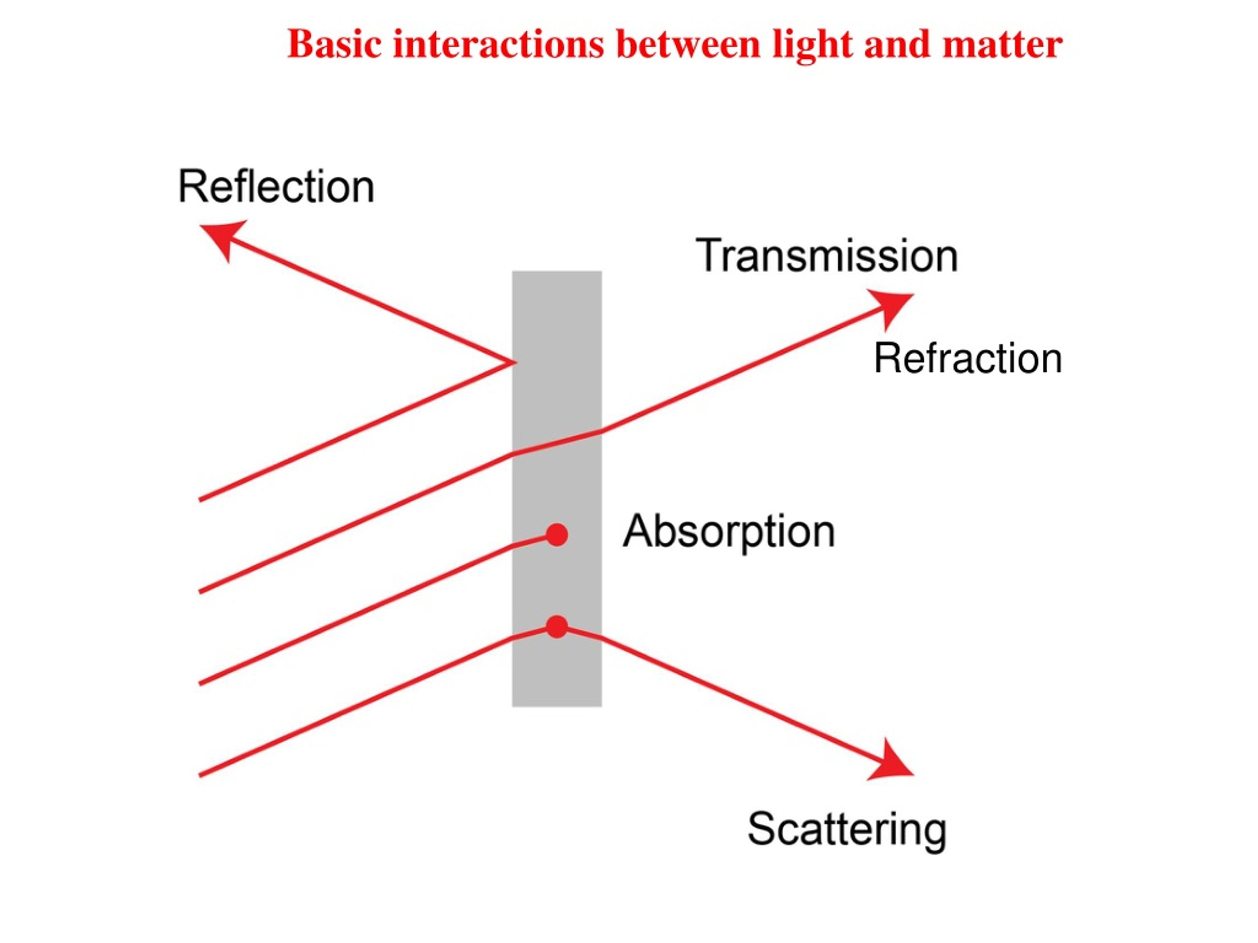 PPT Exploring the Human Eye and Light Microscopes PowerPoint