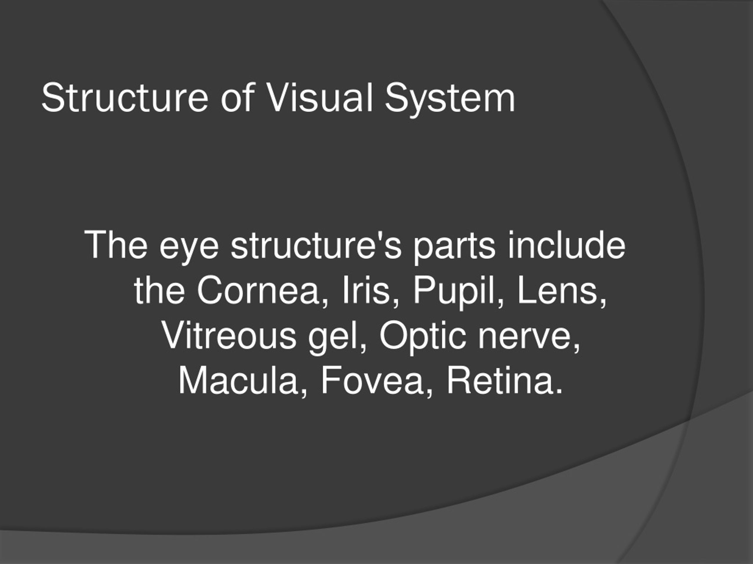 PPT Visual System PowerPoint Presentation, free download ID8958856