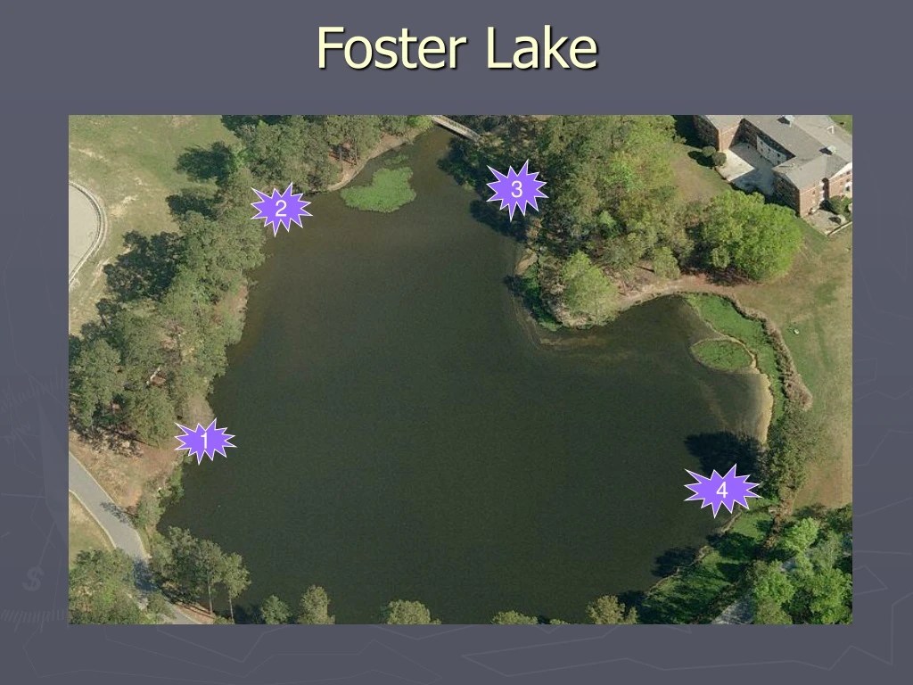 PPT Foster Lake PowerPoint Presentation, free download ID8990949